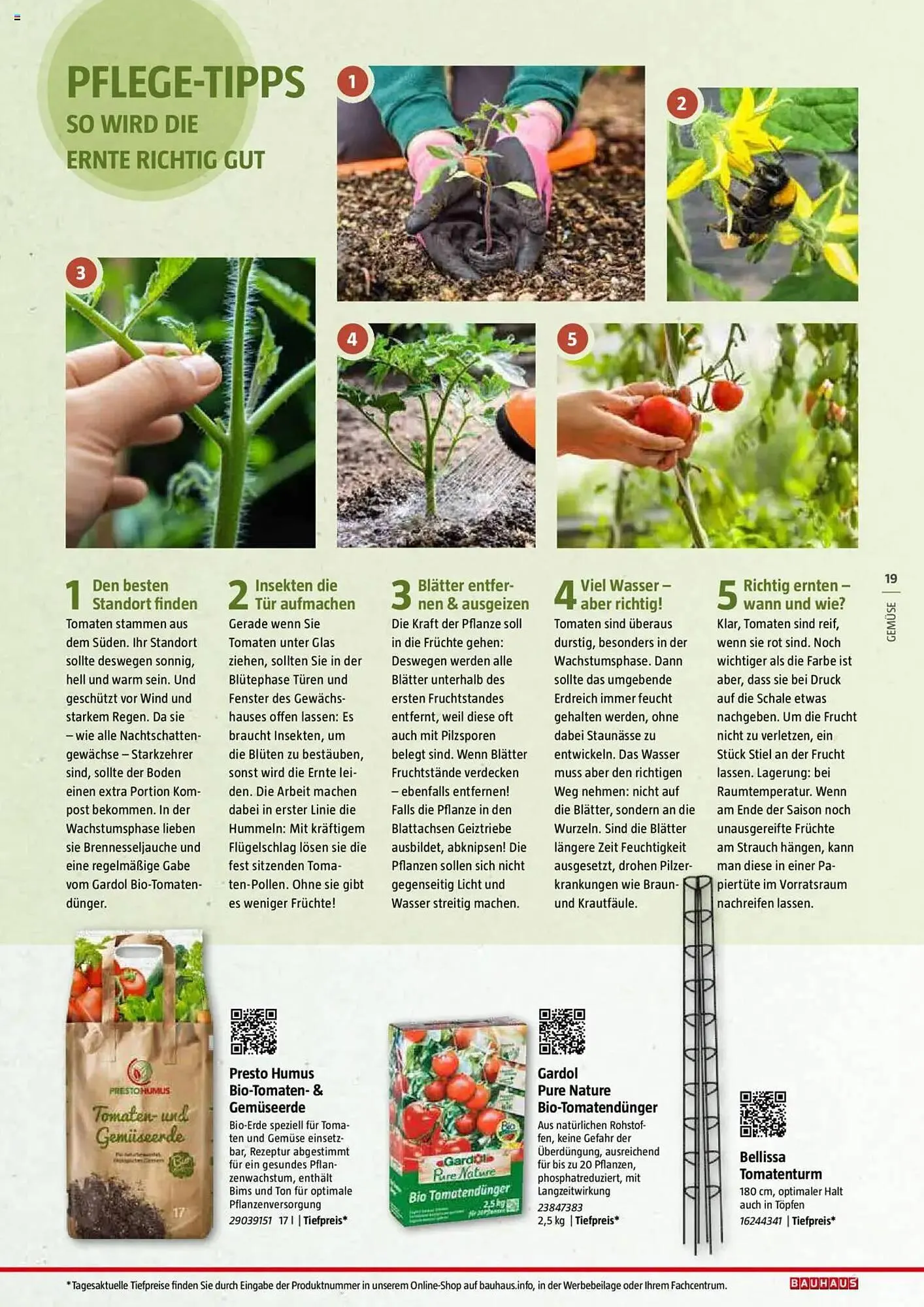 Bauhaus Prospekt von 20. Januar bis 30. Juni 2025 - Prospekt seite 19