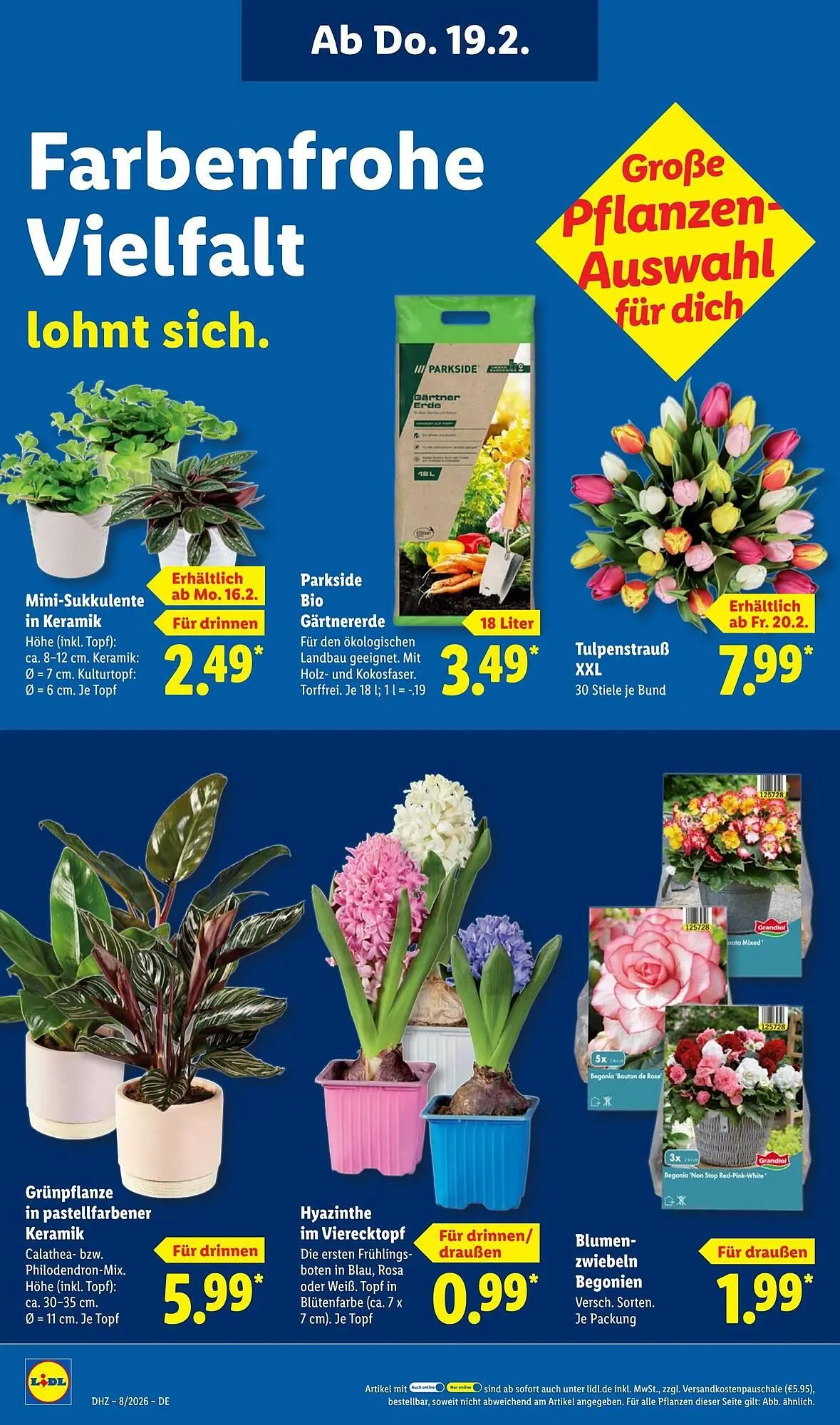 Lidl Prospekt von 16. Februar bis 22. Februar 2026 - Prospekt seite 26