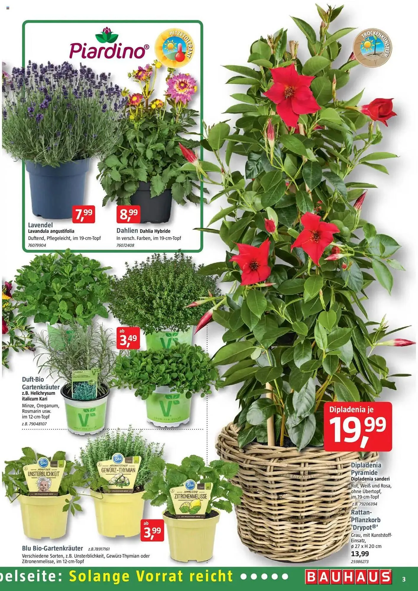 Bauhaus Prospekt von 31. Mai bis 28. Juni 2025 - Prospekt seite 3