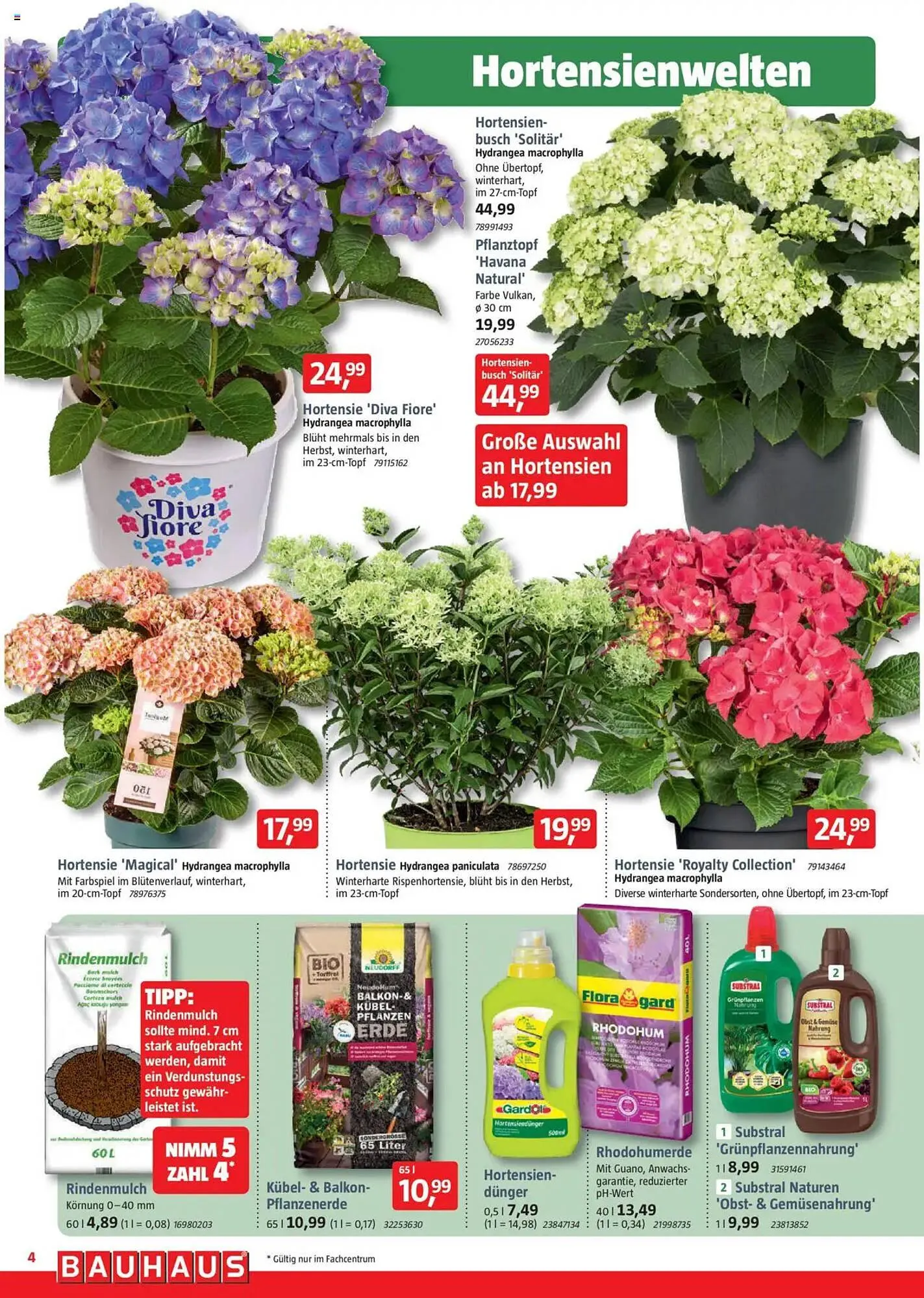 Bauhaus Prospekt von 31. Mai bis 28. Juni 2025 - Prospekt seite 4