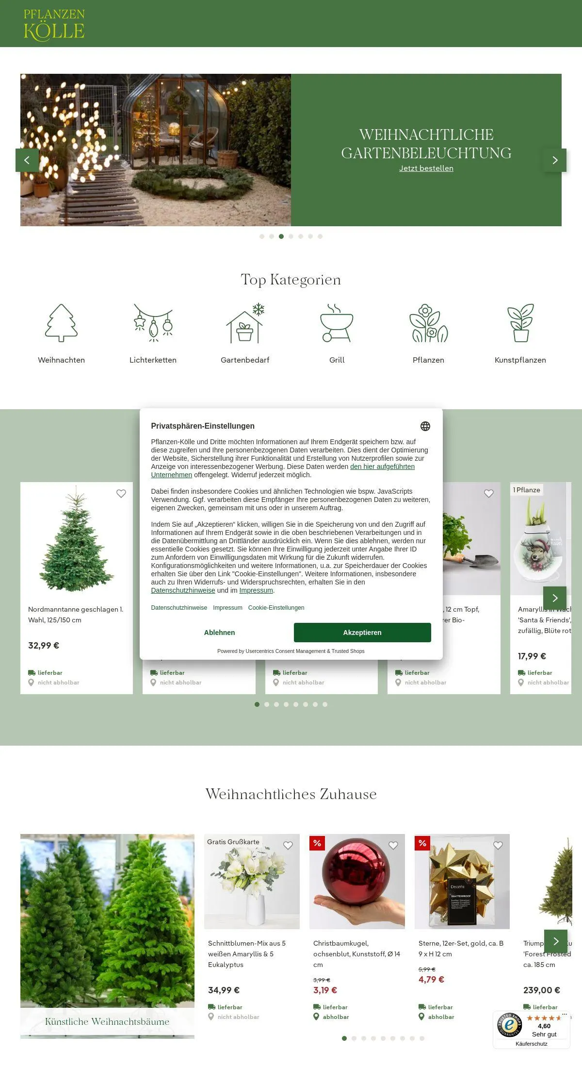 Pflanzen-Kölle Aktueller Prospekt von 8. Dezember bis 17. Dezember 2025 - Prospekt seite 1