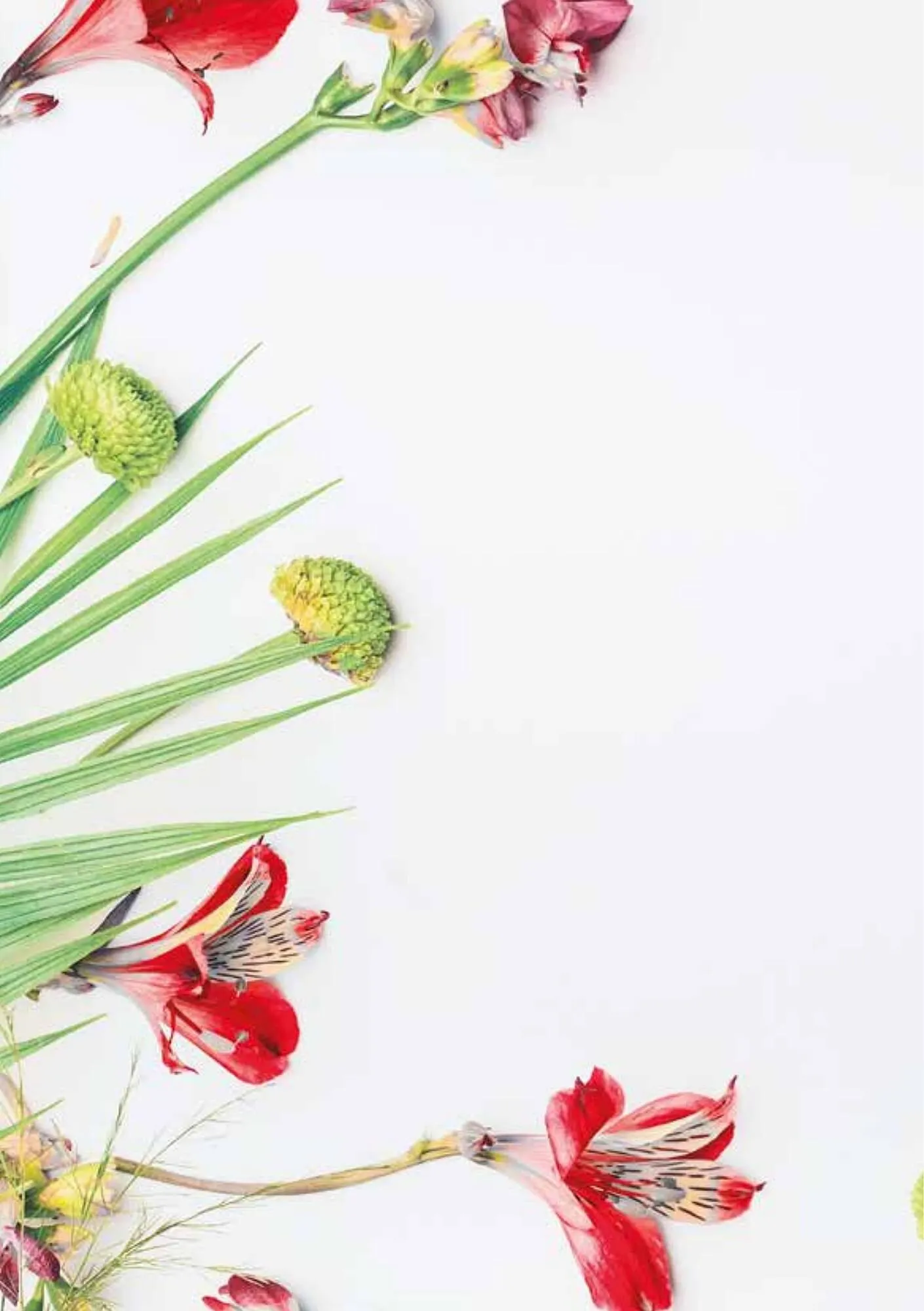 akzenta Prospekt von 1. April bis 30. Juni 2025 - Prospekt seite 2