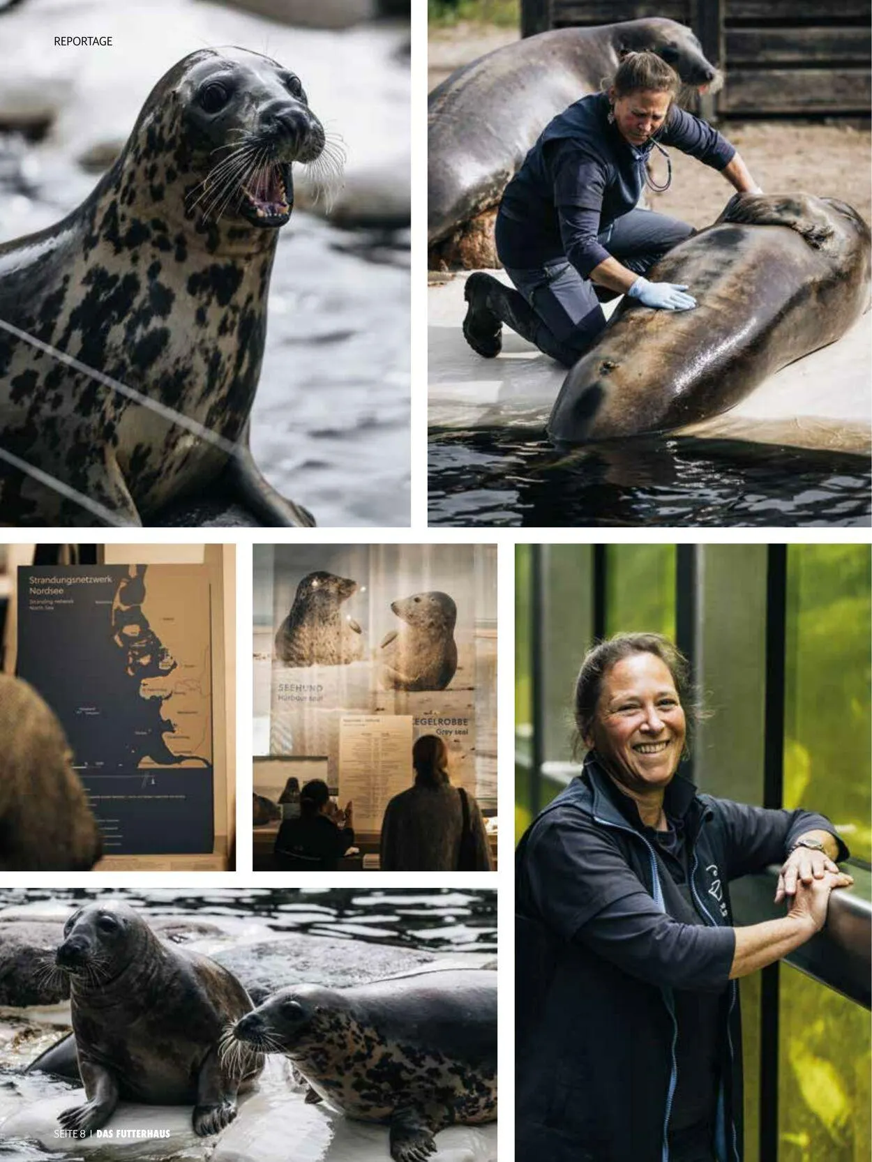 Futterhaus Aktueller Prospekt von 1. Juli bis 31. Juli 2025 - Prospekt seite 8