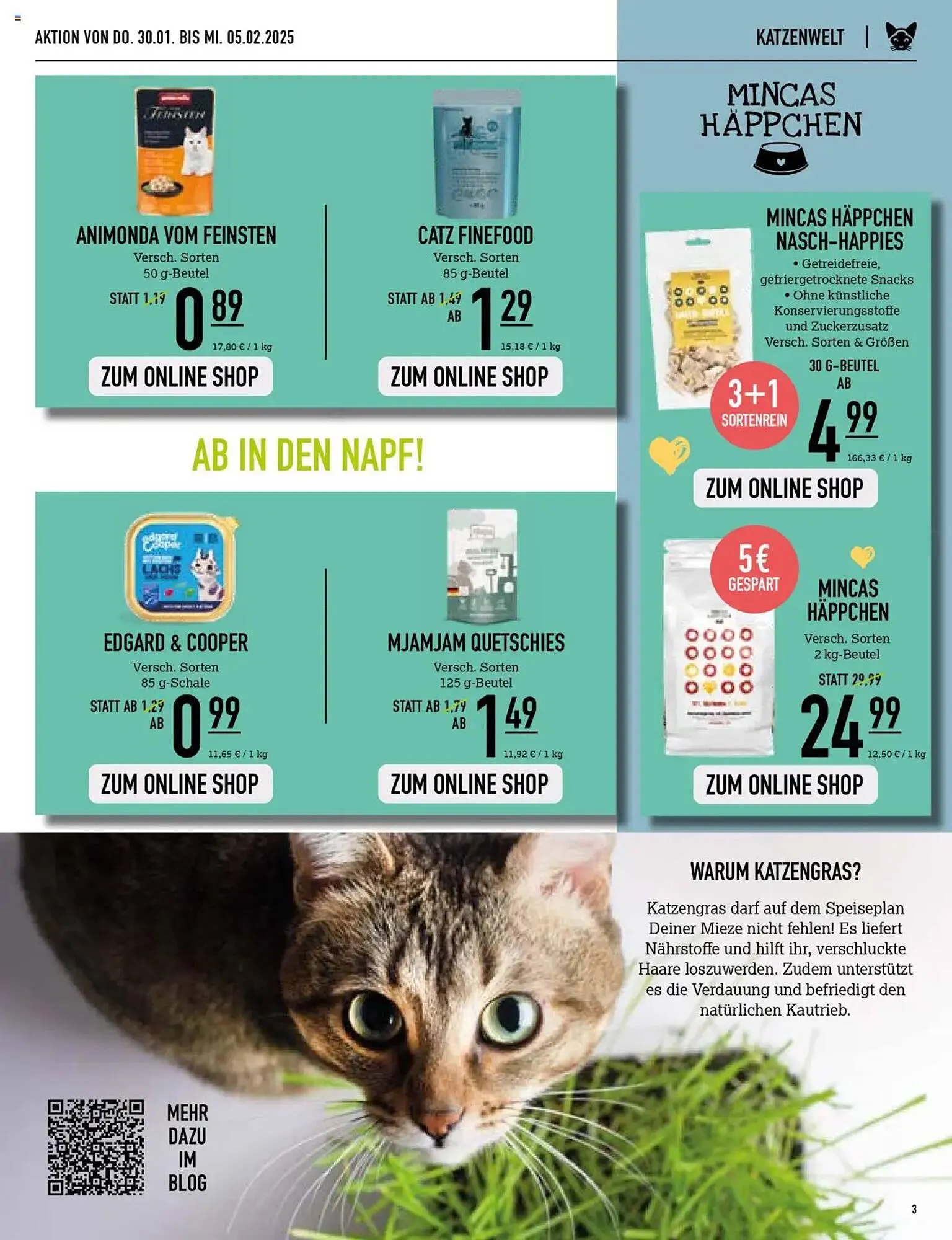 Kölle Zoo Prospekt von 30. Januar bis 5. Februar 2025 - Prospekt seite 3