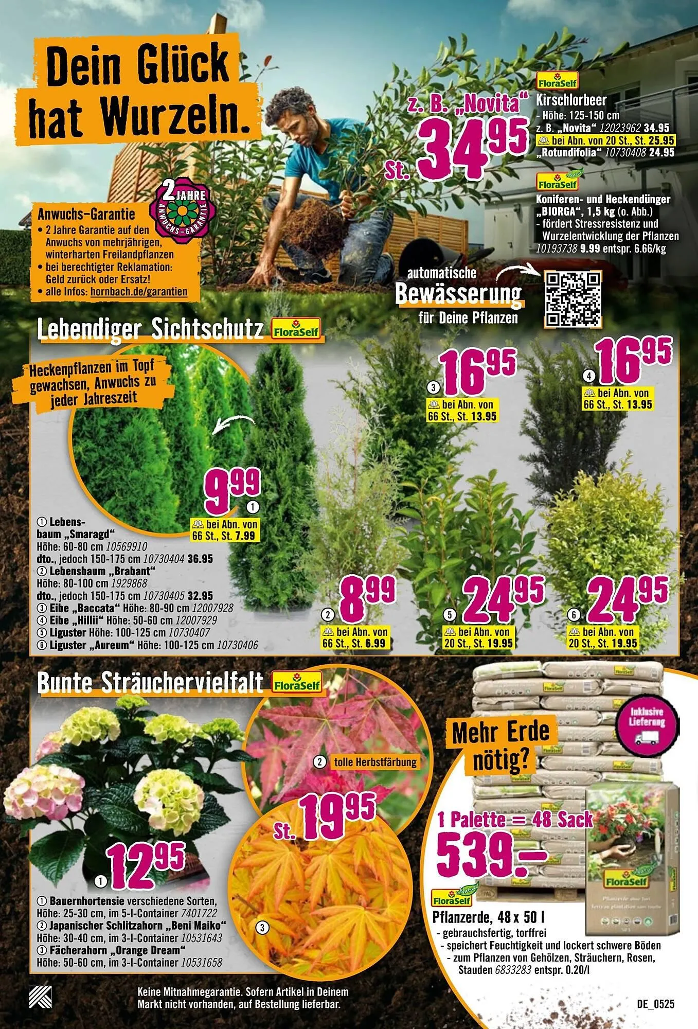 Hornbach Prospekt von 7. Mai bis 4. Juni 2025 - Prospekt seite 17