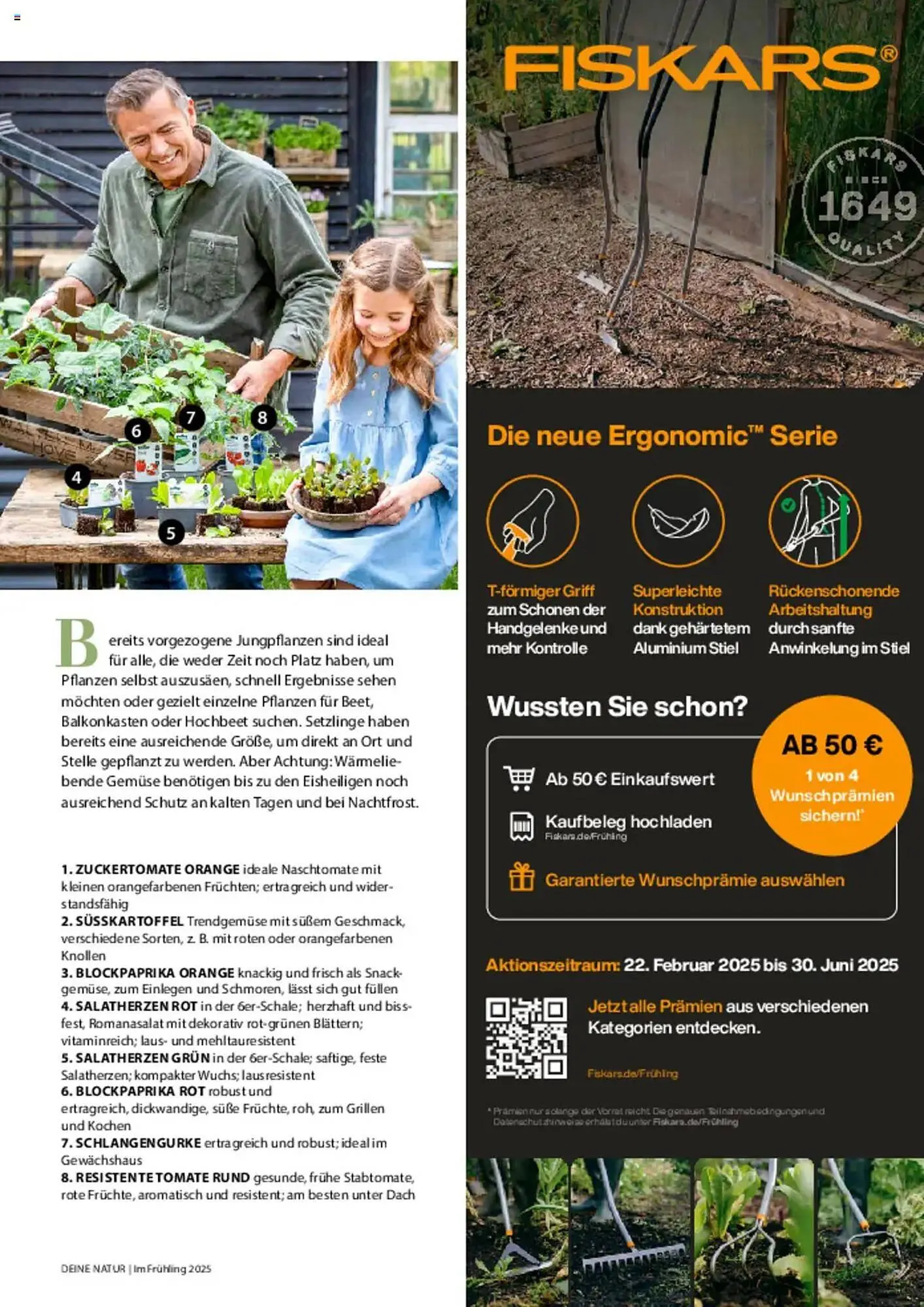 Dehner Prospekt von 6. März bis 9. Juni 2025 - Prospekt seite 11
