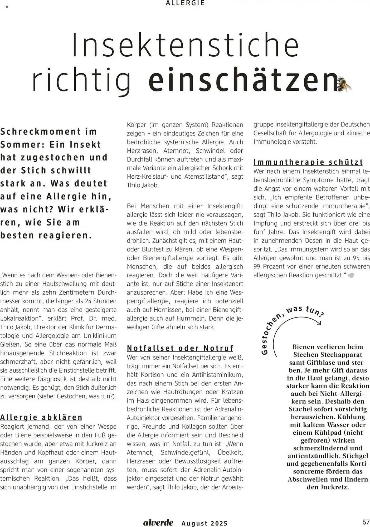 dm drogerie Prospekt von 1. August bis 31. August 2025 - Prospekt seite 67