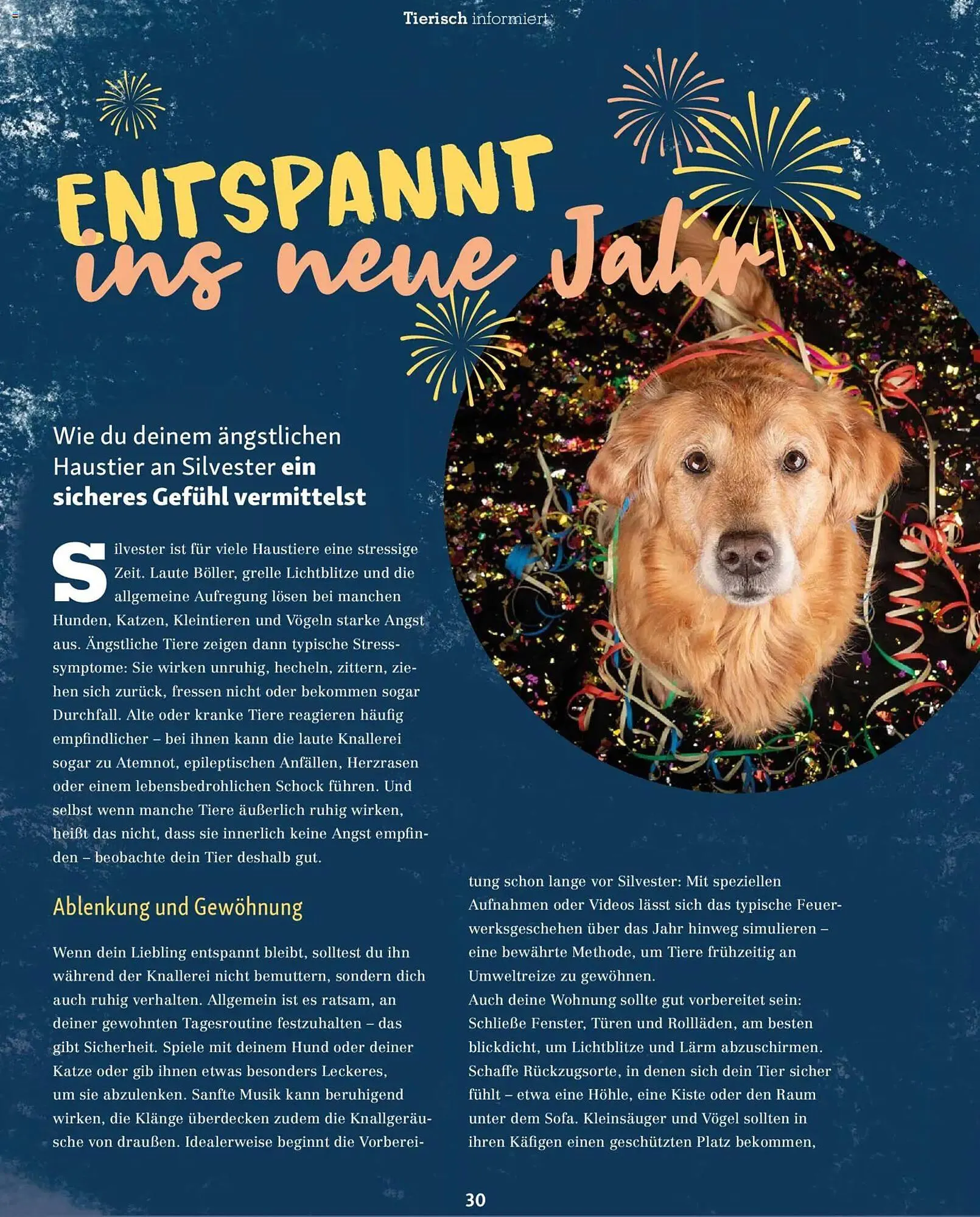 Fressnapf Magazin von 1. November bis 31. Dezember 2025 - Prospekt seite 30