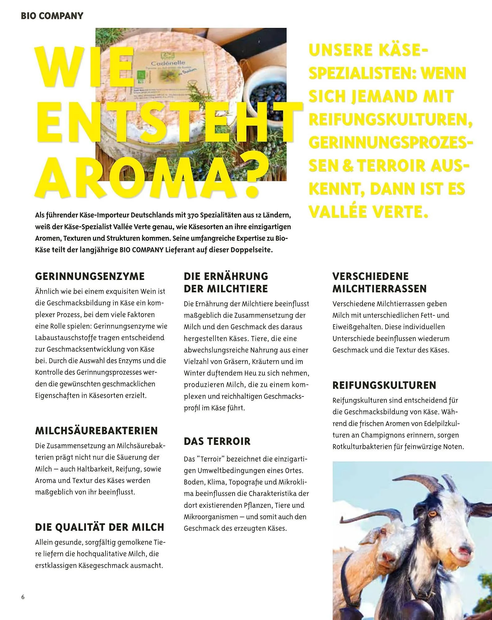 Biocompany Prospekt von 1. April bis 31. März 2025 - Prospekt seite 6