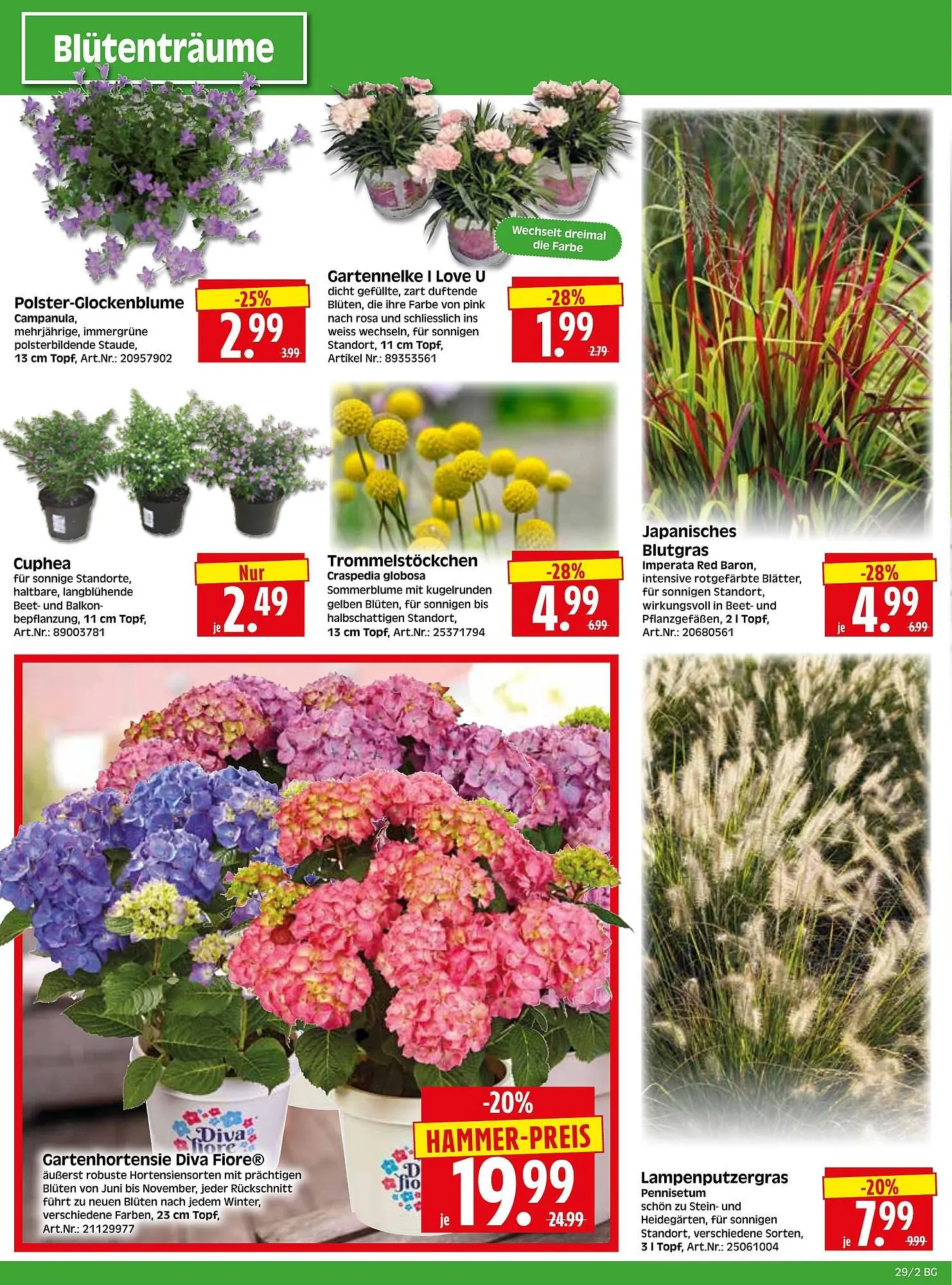 Herkules Baumarkt Prospekt von 14. Juli bis 19. Juli 2025 - Prospekt seite 2