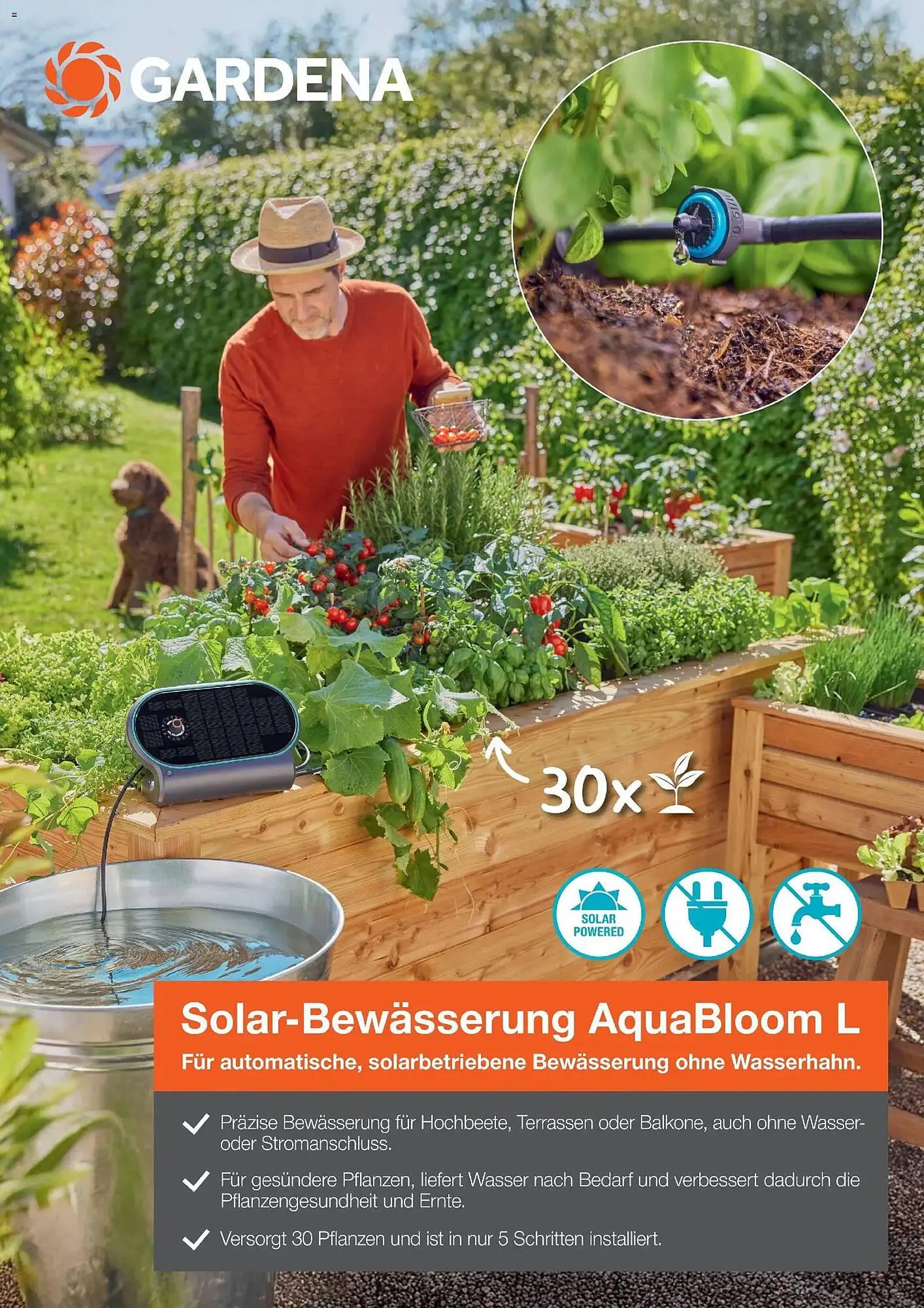 Dehner Prospekt von 17. April bis 31. August 2026 - Prospekt seite 65