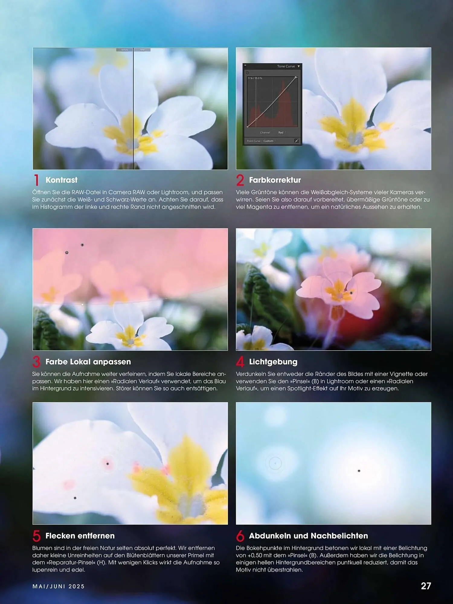 Ringfoto Prospekt von 22. Mai bis 30. Juni 2025 - Prospekt seite 27