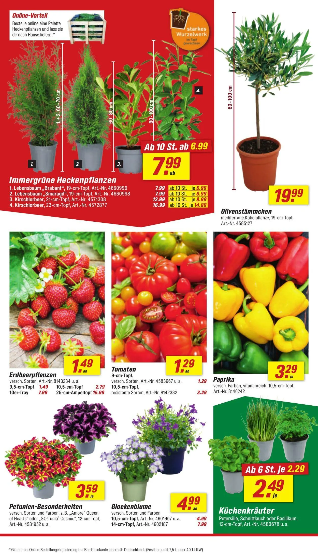 toom Baumarkt Aktueller Prospekt von 18. August bis 1. September 2025 - Prospekt seite 8