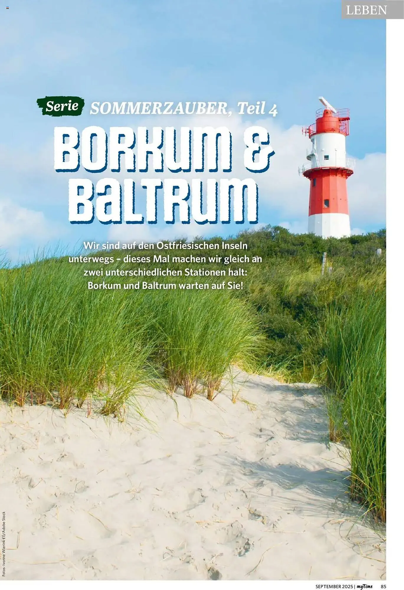 Combi Prospekt von 1. September bis 30. September 2026 - Prospekt seite 85