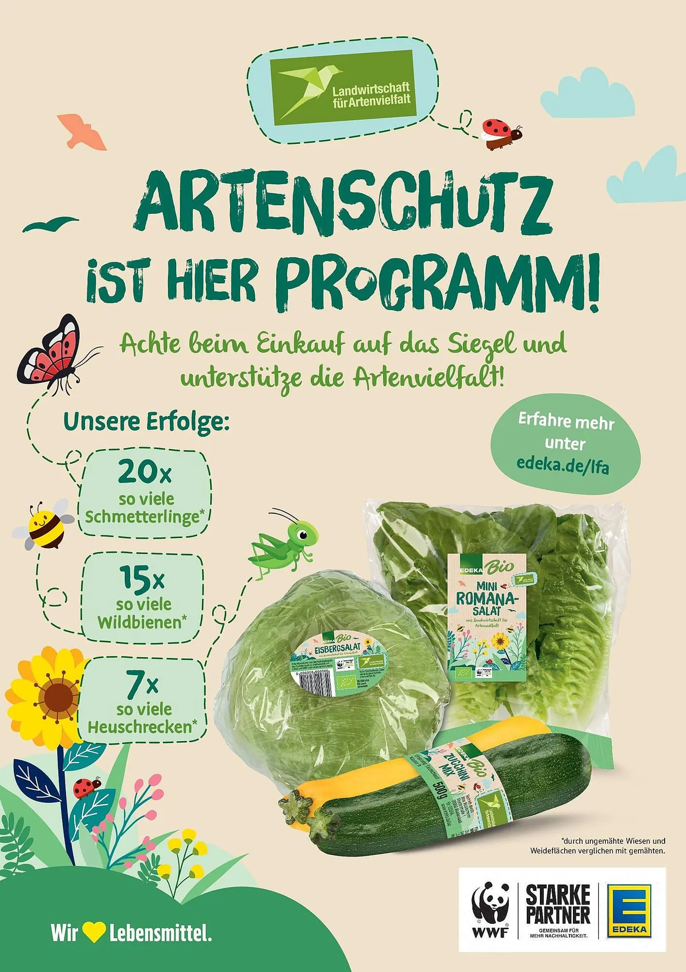 Marktkauf Prospekt von 3. August bis 9. August 2025 - Prospekt seite 34