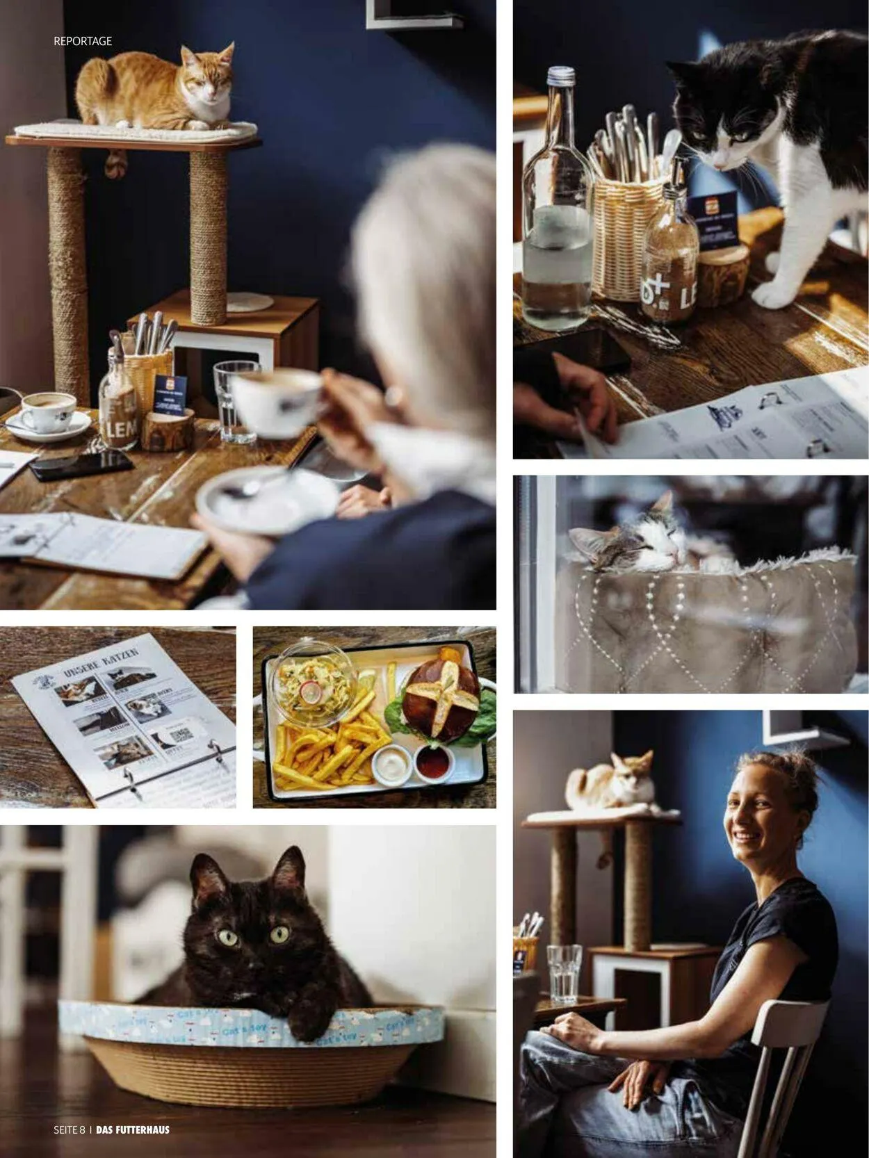 Futterhaus Aktueller Prospekt von 1. August bis 31. August 2025 - Prospekt seite 8