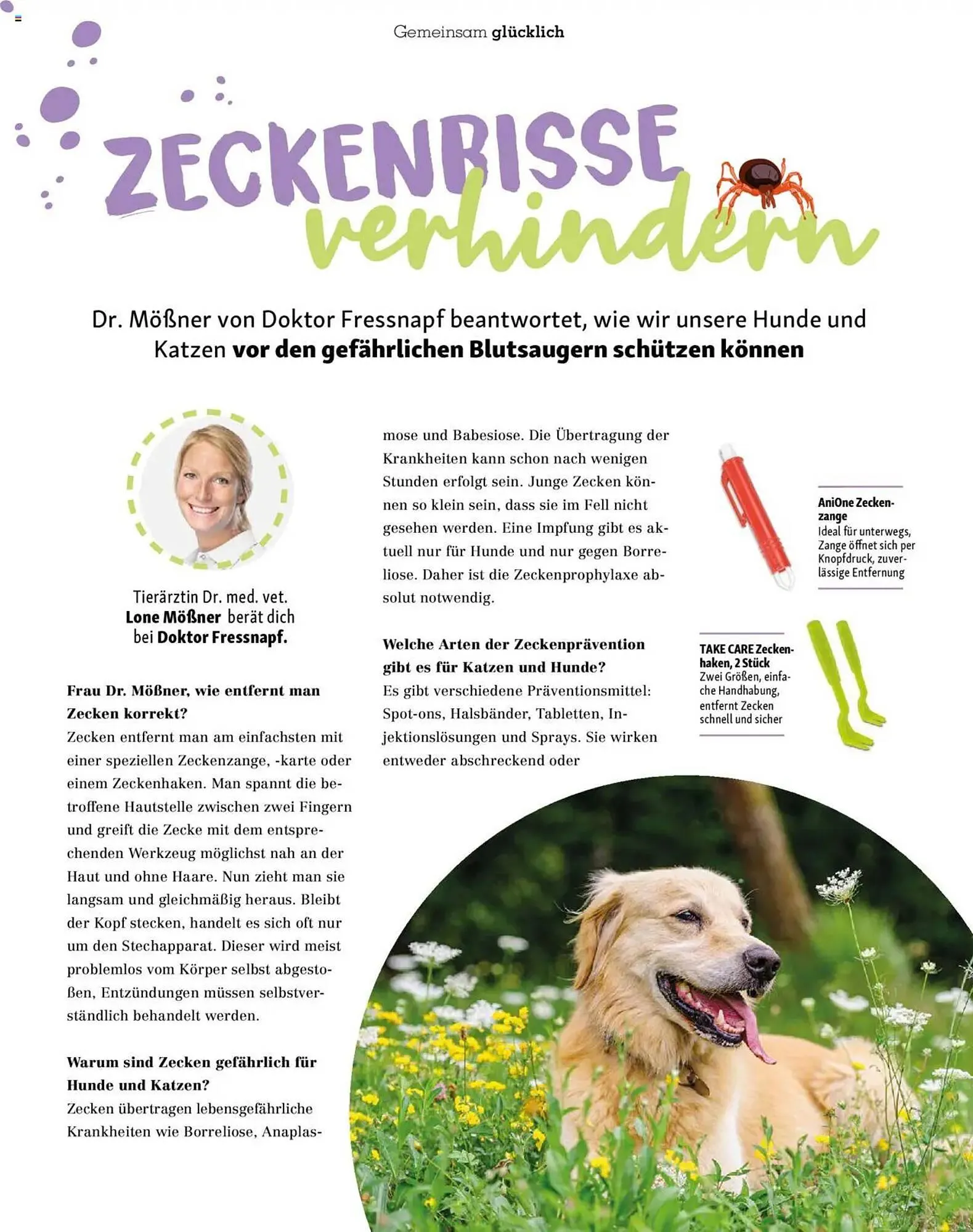 Fressnapf Prospekt von 1. Mai bis 30. Juni 2025 - Prospekt seite 46