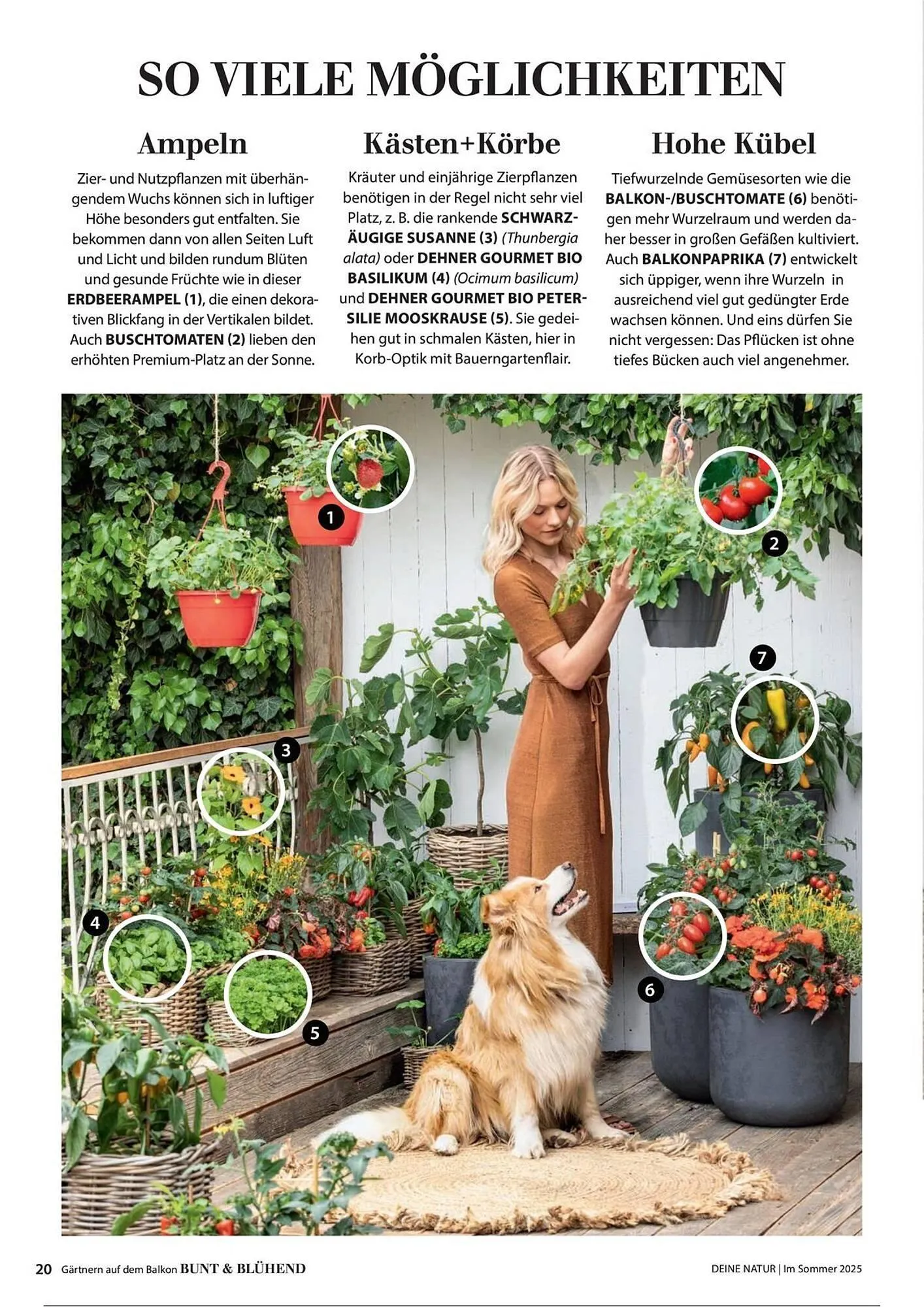 Dehner Prospekt von 1. Juli bis 31. Dezember 2025 - Prospekt seite 20