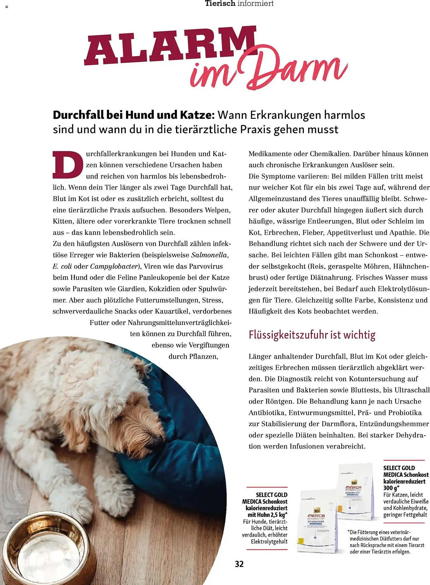 Fressnapf Magazin von 1. November bis 31. Dezember 2025 - Prospekt seite 32