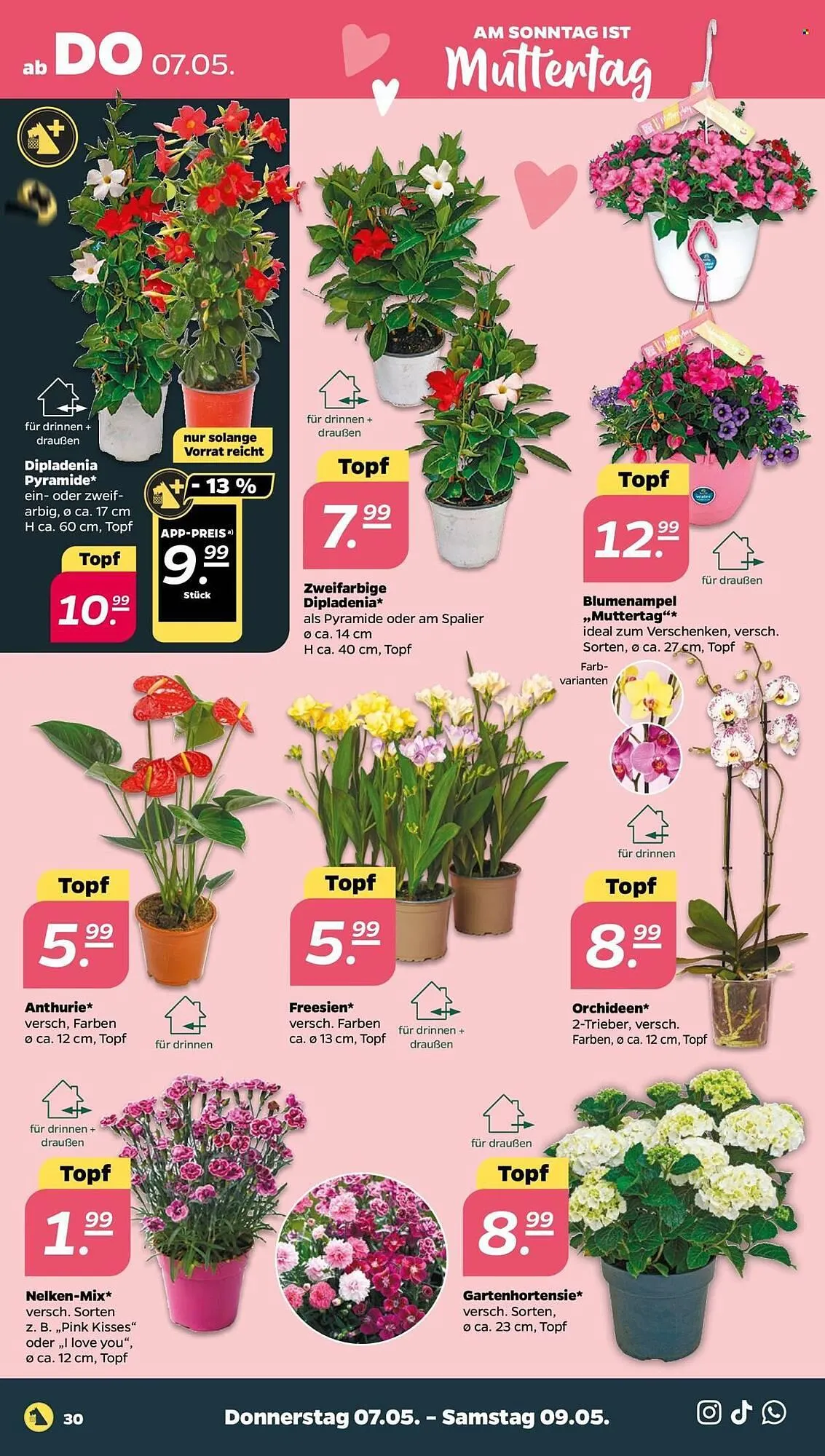 NETTO Prospekt von 4. Mai bis 9. Mai 2026 - Prospekt seite 34