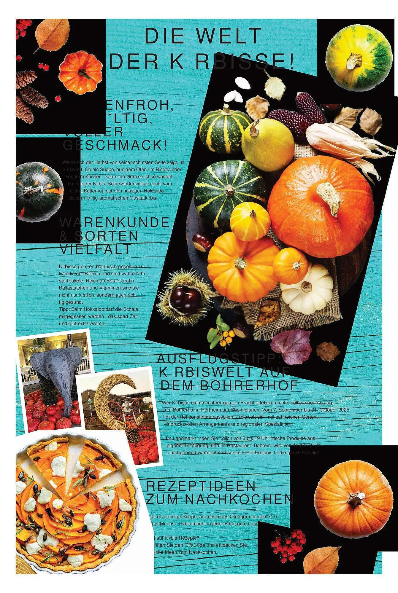 Hieber's Frische Center Prospekt von 26. Oktober bis 1. November 2025 - Prospekt seite 2