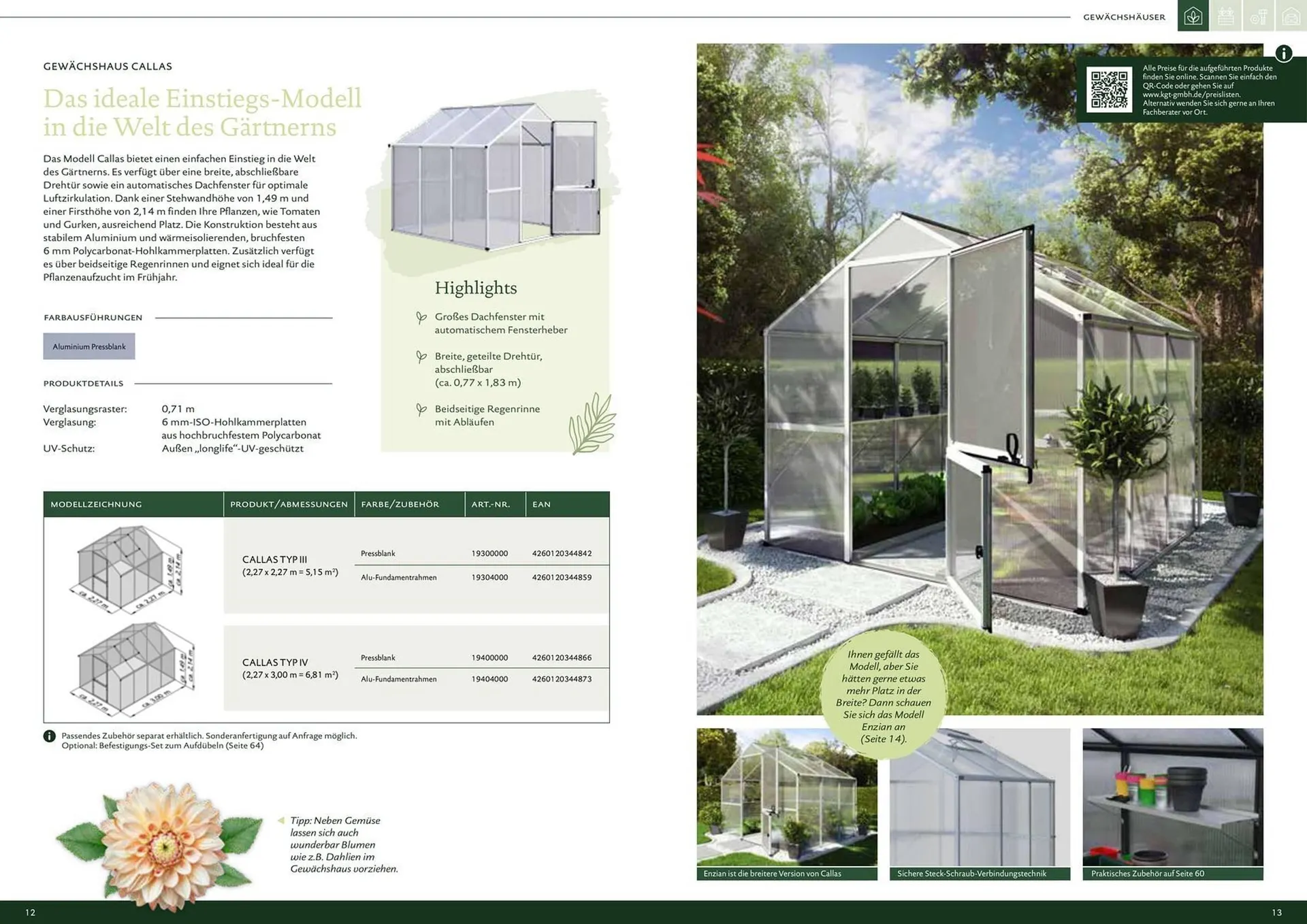Dehner Prospekt von 8. Juli bis 31. Dezember 2025 - Prospekt seite 7