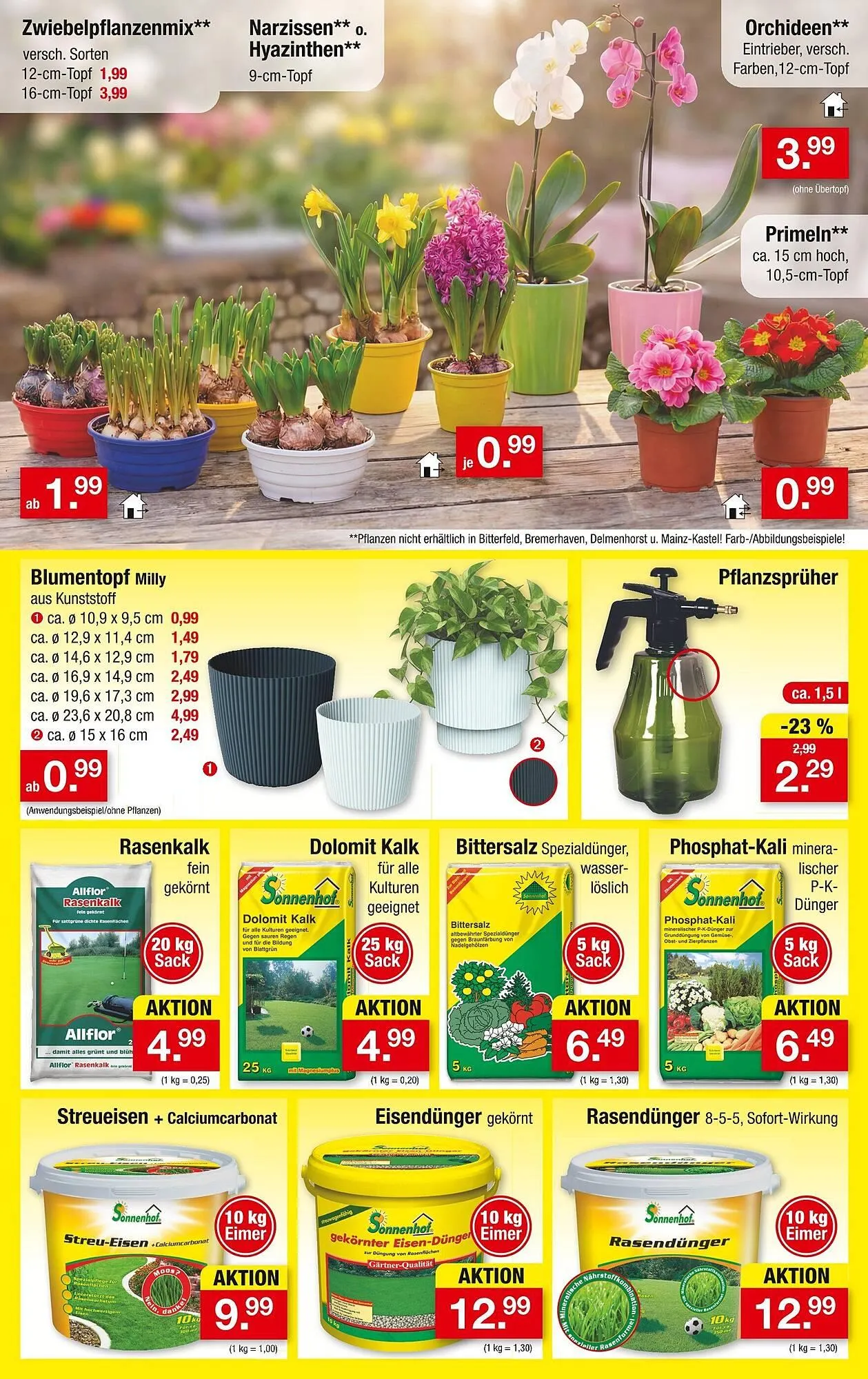 Zimmermann Prospekt von 12. Januar bis 17. Januar 2026 - Prospekt seite 7