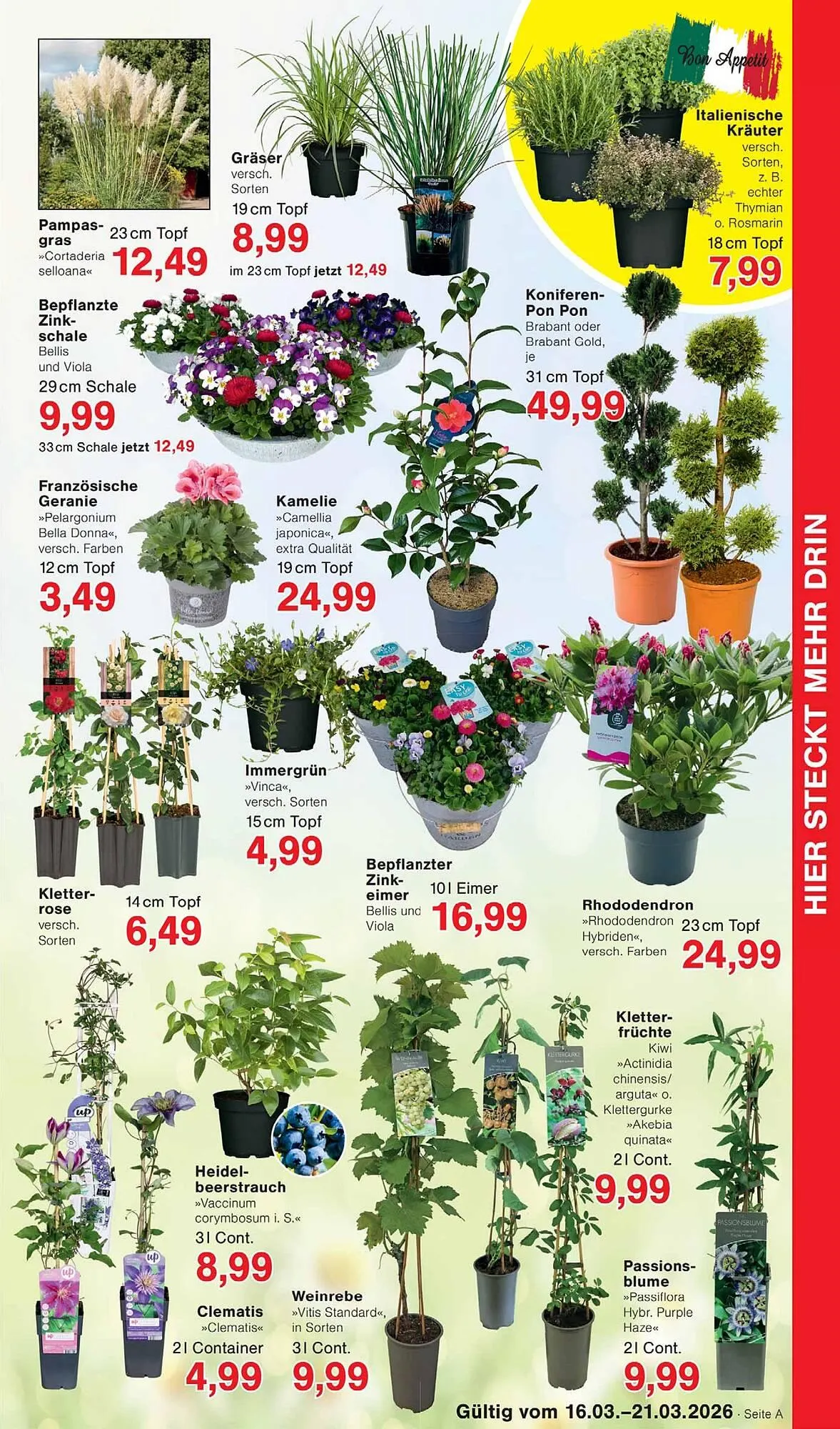 Wiglo Wunderland Prospekt von 16. März bis 21. März 2026 - Prospekt seite 7