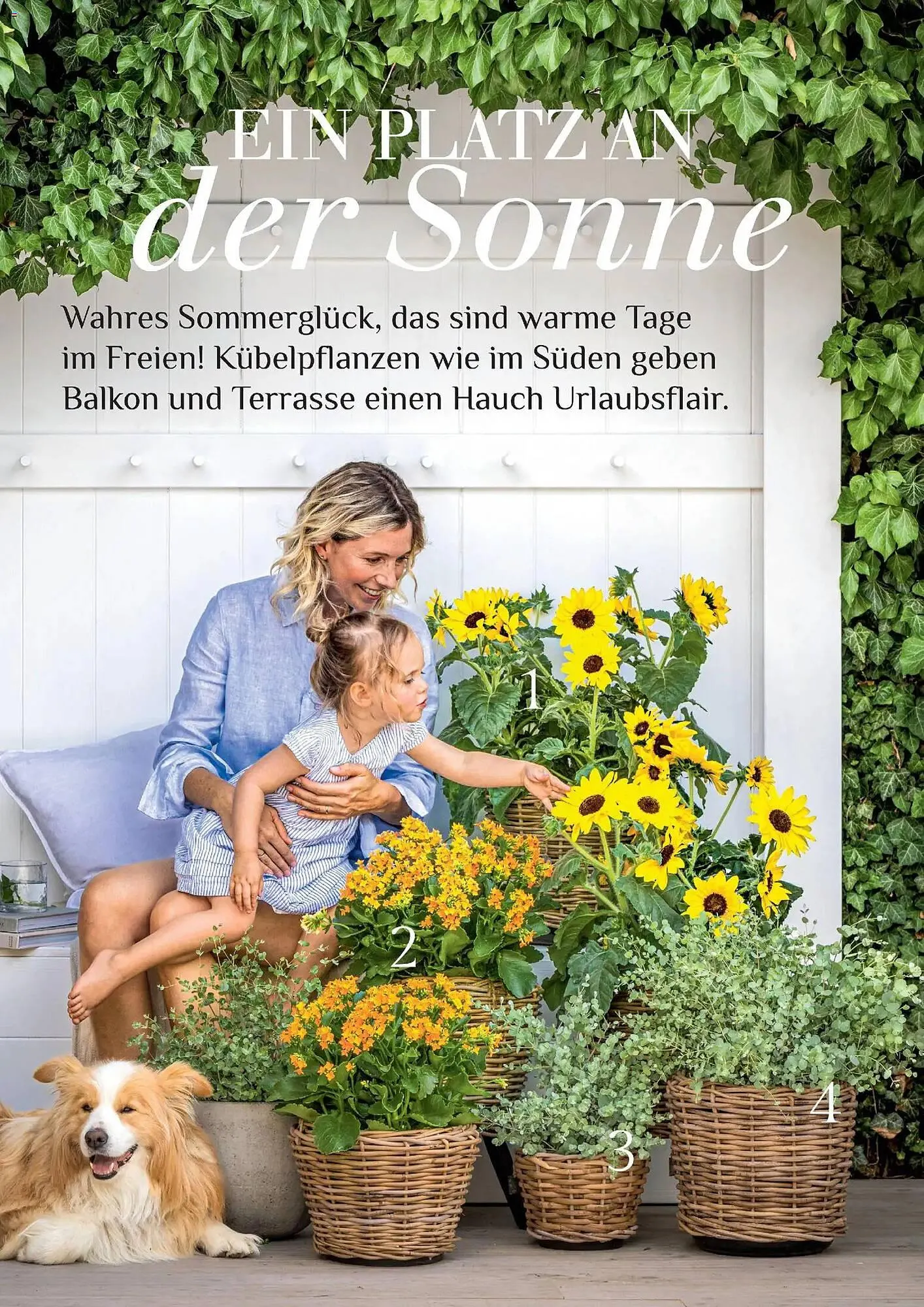 Dehner Prospekt von 17. April bis 31. August 2026 - Prospekt seite 30