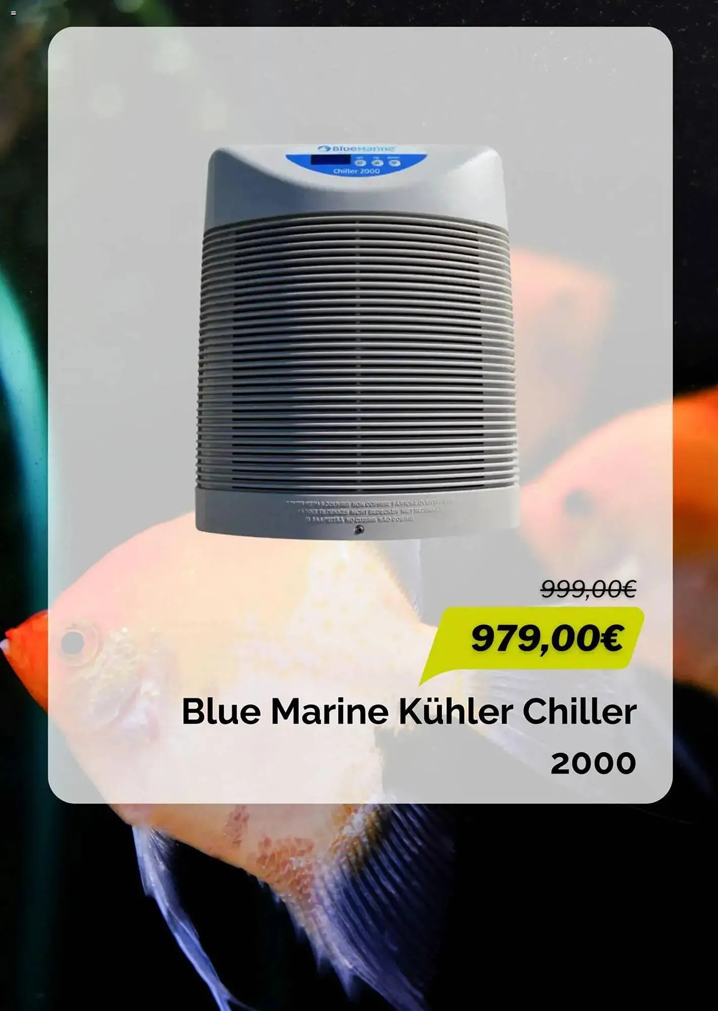 MegaZoo Prospekt von 3. März bis 3. April 2025 - Prospekt seite 7