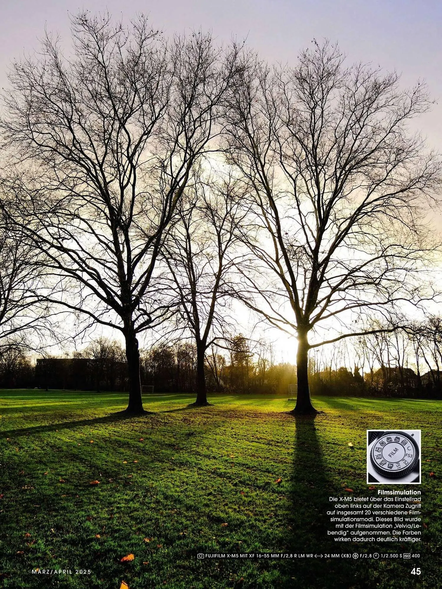 Ringfoto Prospekt von 1. März bis 30. April 2025 - Prospekt seite 45