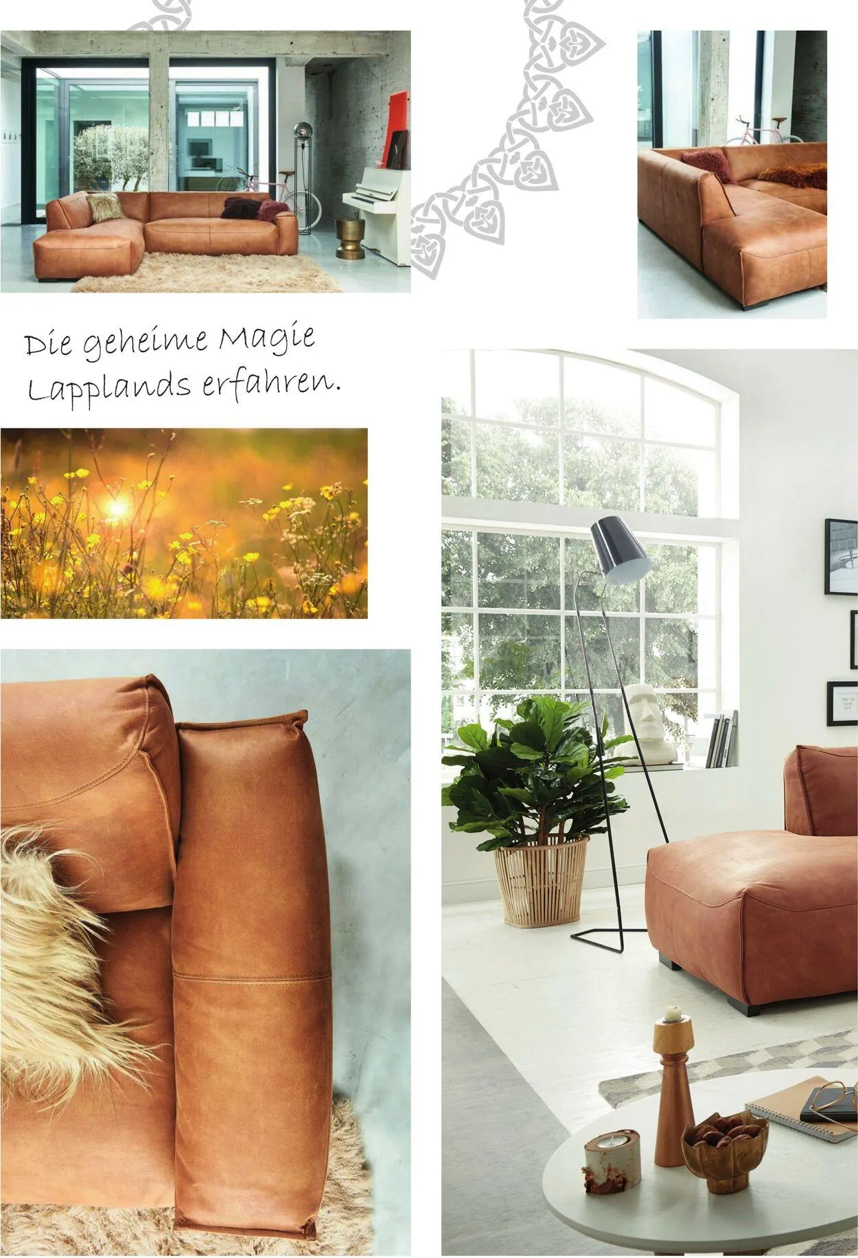 Multipolster Aktueller Prospekt von 2. Juni bis 16. Juni 2025 - Prospekt seite 14