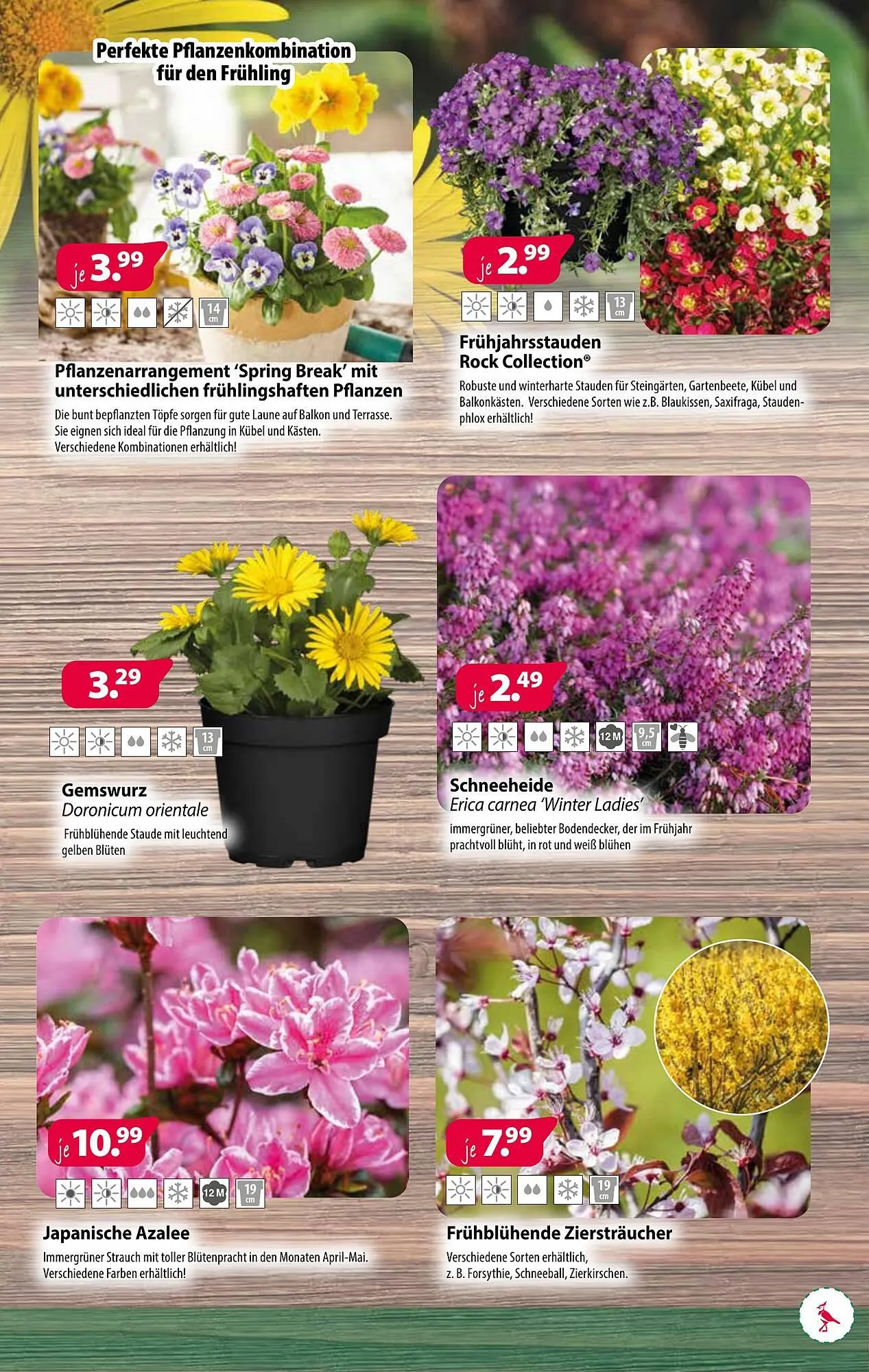 Kiebitzmarkt Prospekt von 8. März bis 15. März 2025 - Prospekt seite 3