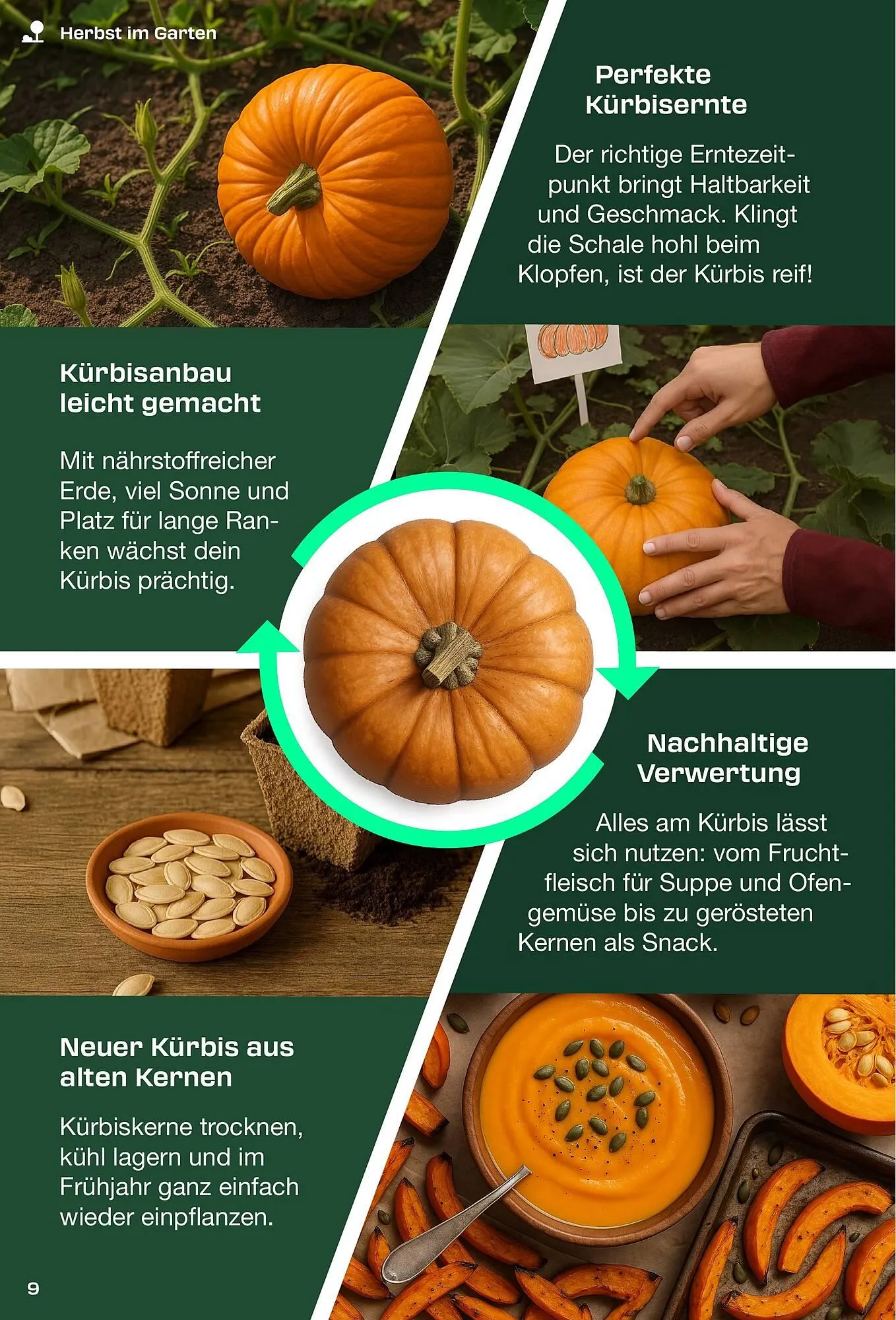 Kaufland Prospekt von 1. September bis 30. November 2025 - Prospekt seite 9