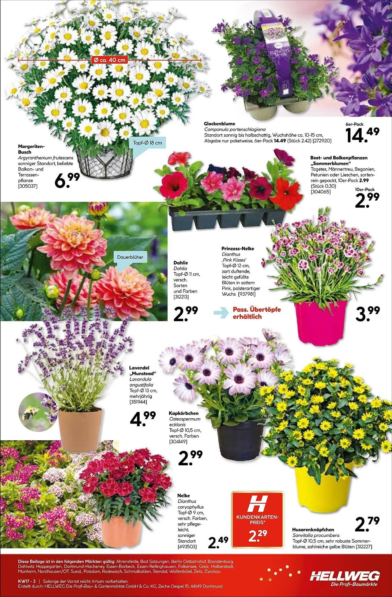 Hellweg Prospekt von 20. April bis 25. April 2026 - Prospekt seite 19