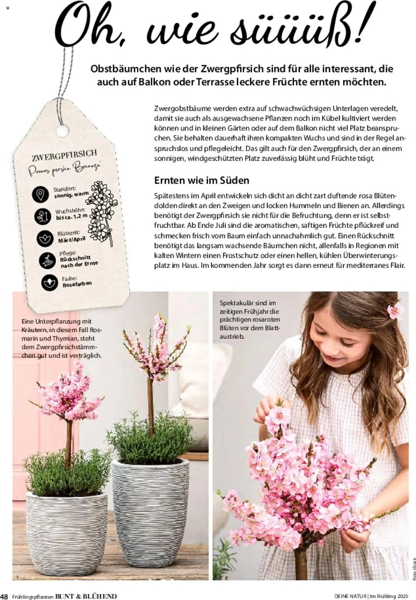 Dehner Prospekt von 6. März bis 9. Juni 2025 - Prospekt seite 48