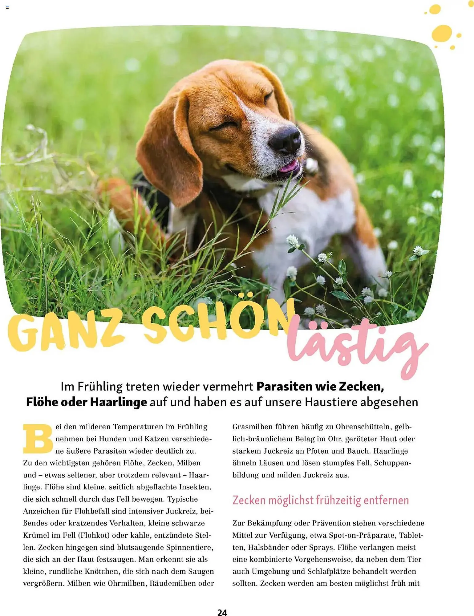 Fressnapf Magazin von 2. März bis 30. April 2026 - Prospekt seite 24