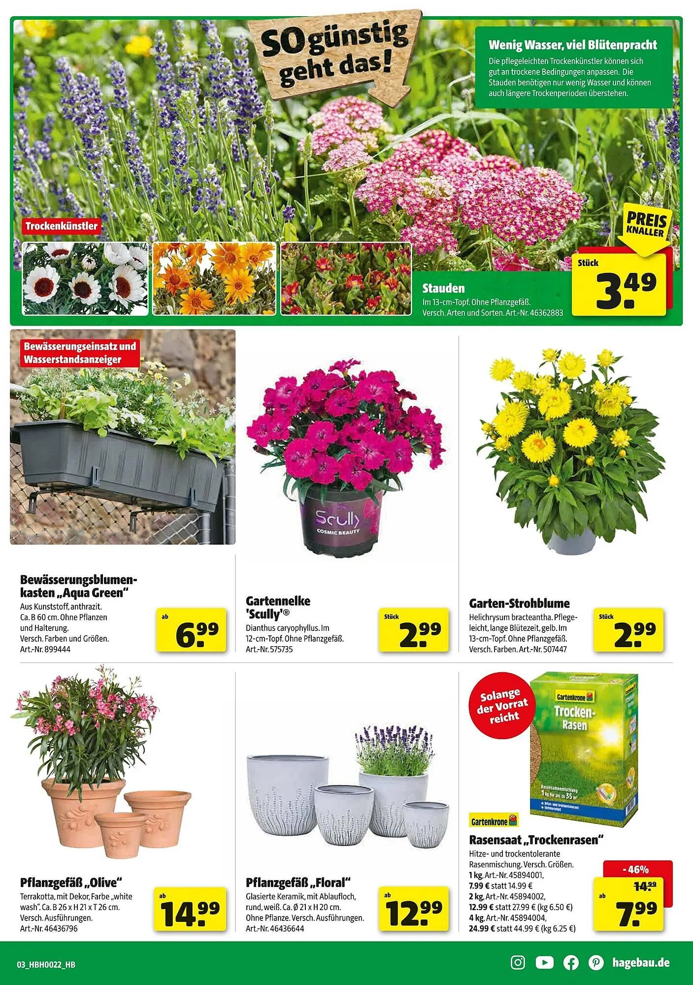 Hagebau Prospekt von 24. Mai bis 31. Mai 2025 - Prospekt seite 3