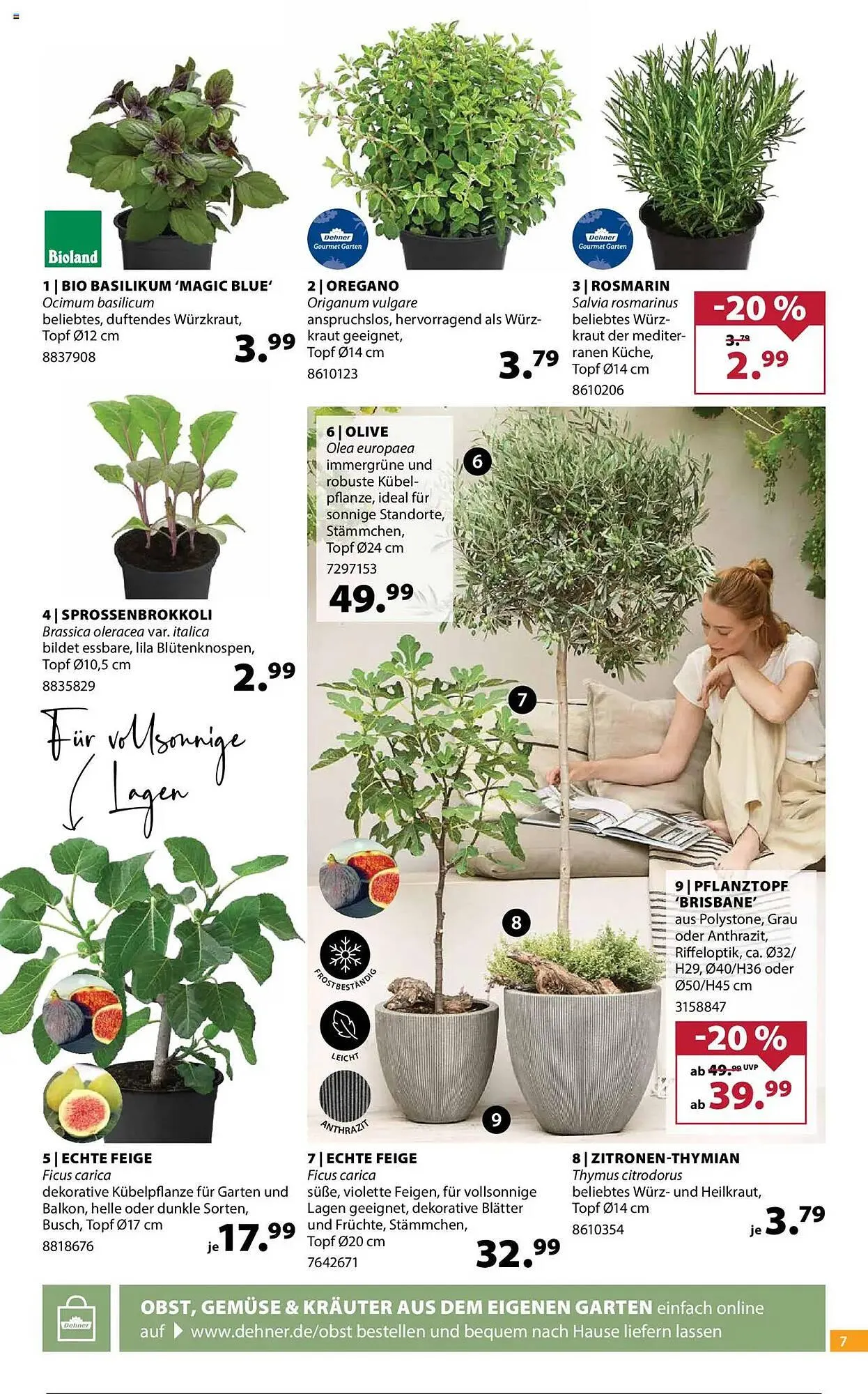 Dehner Prospekt von 14. Mai bis 19. Mai 2025 - Prospekt seite 7