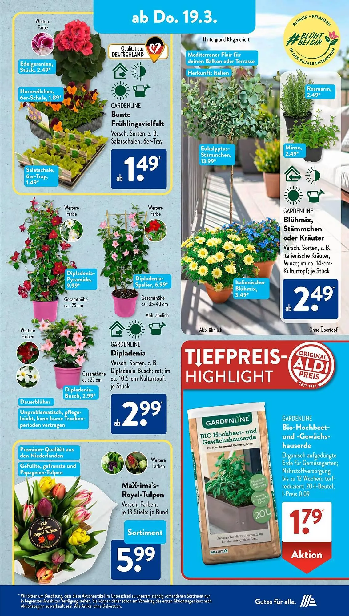 Aldi Süd Prospekt von 16. März bis 22. März 2026 - Prospekt seite 7