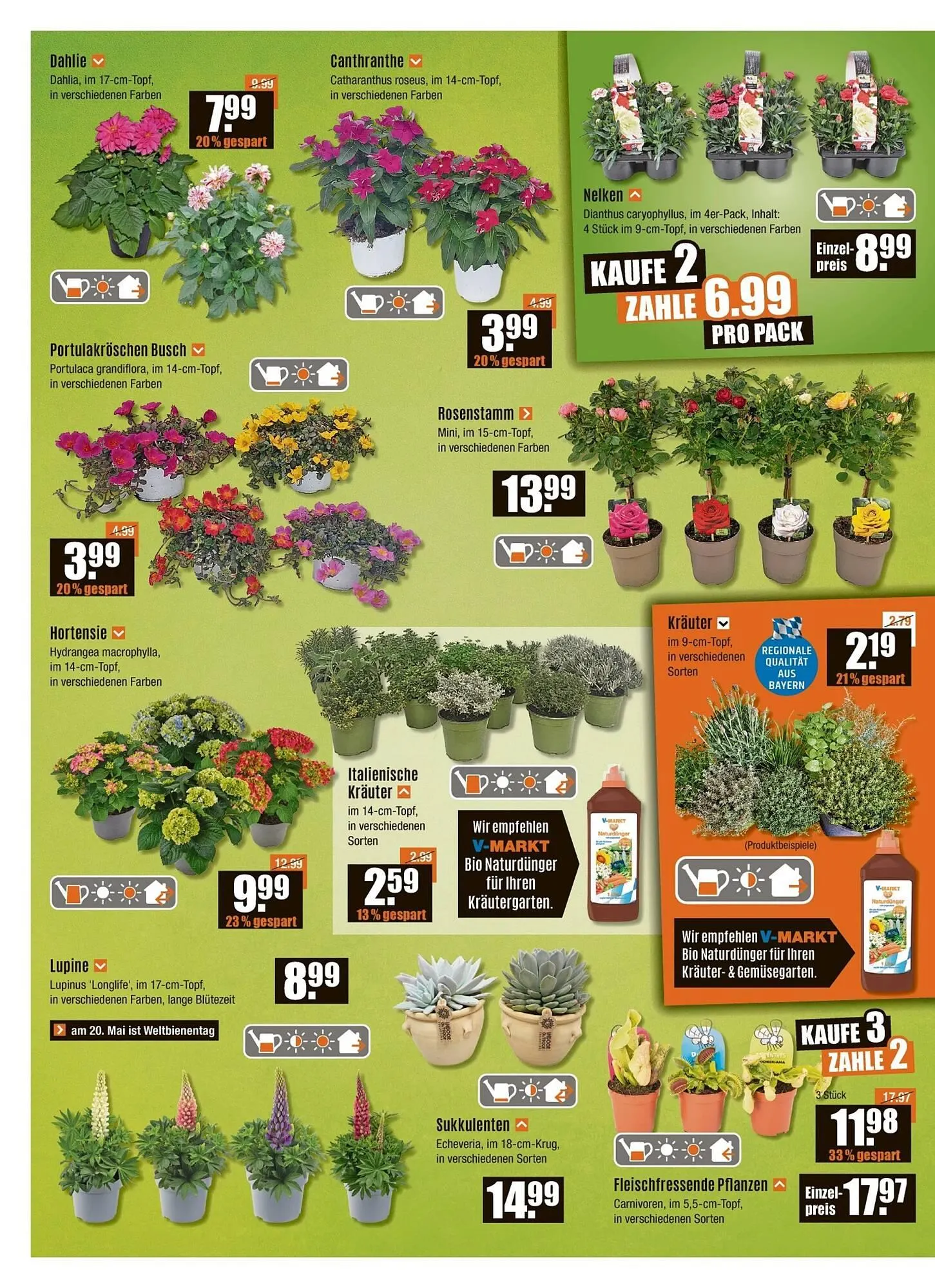 V Baumarkt Prospekt von 15. Mai bis 22. Mai 2025 - Prospekt seite 2