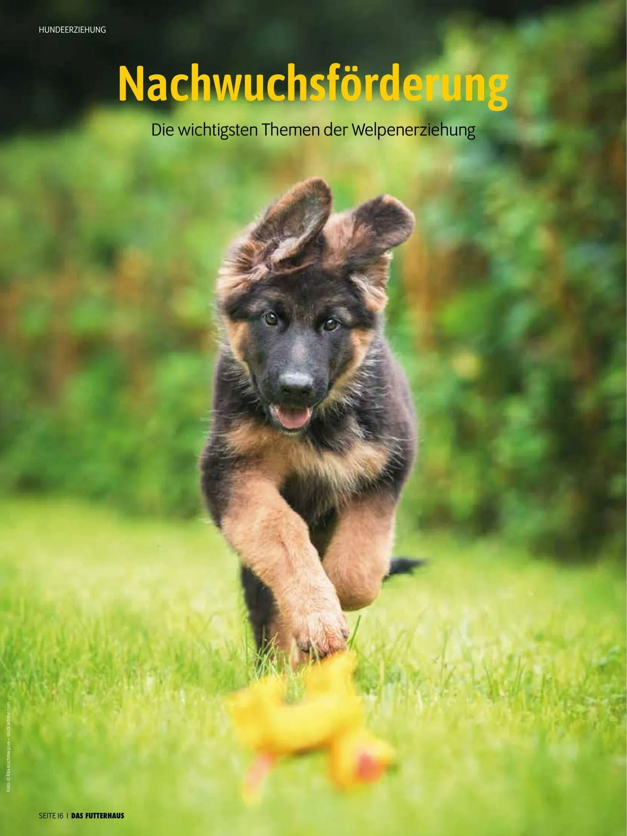 Futterhaus Aktueller Prospekt von 1. Mai bis 31. Mai 2025 - Prospekt seite 16