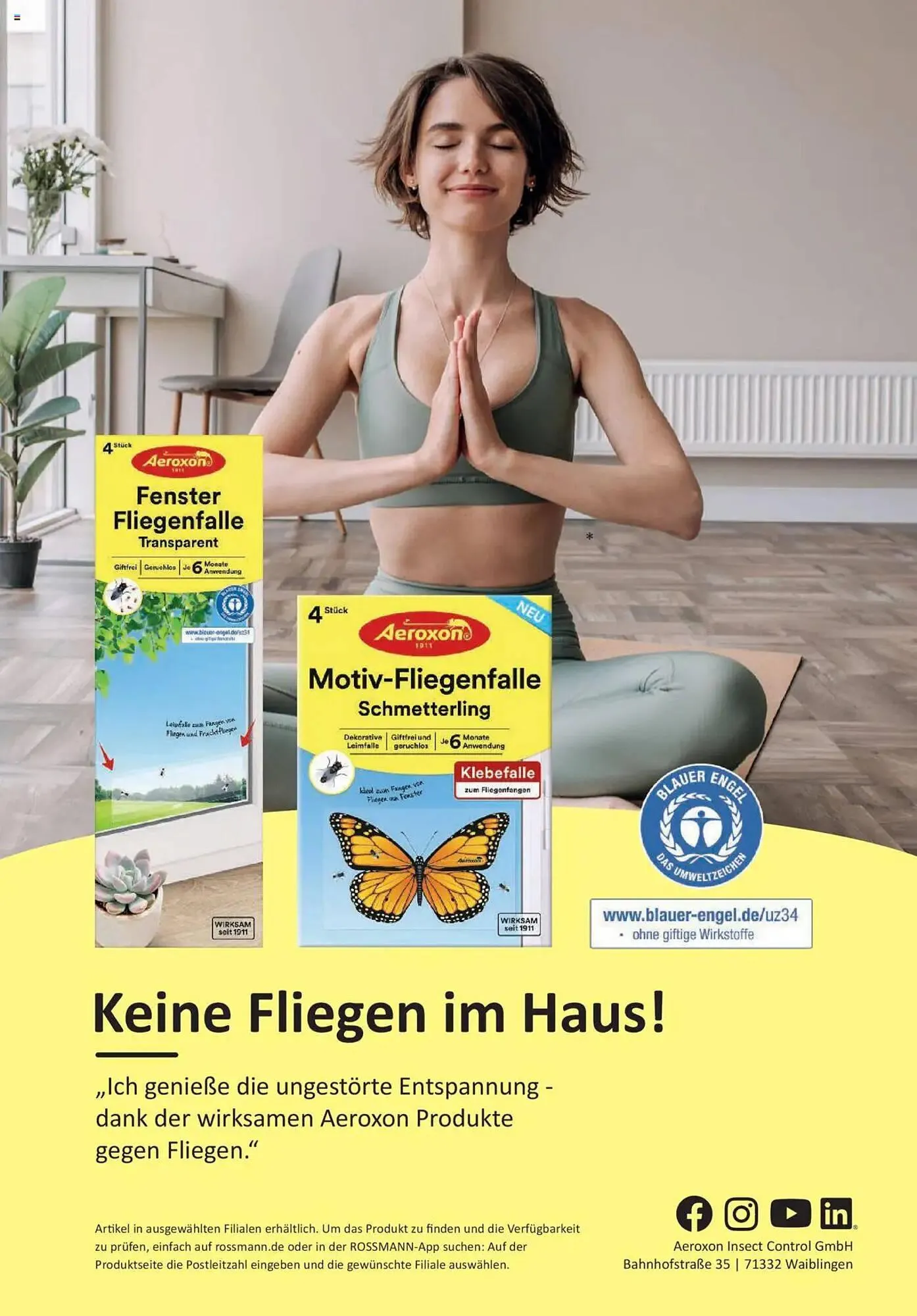 Rossmann Prospekt von 1. Juli bis 31. Juli 2025 - Prospekt seite 31