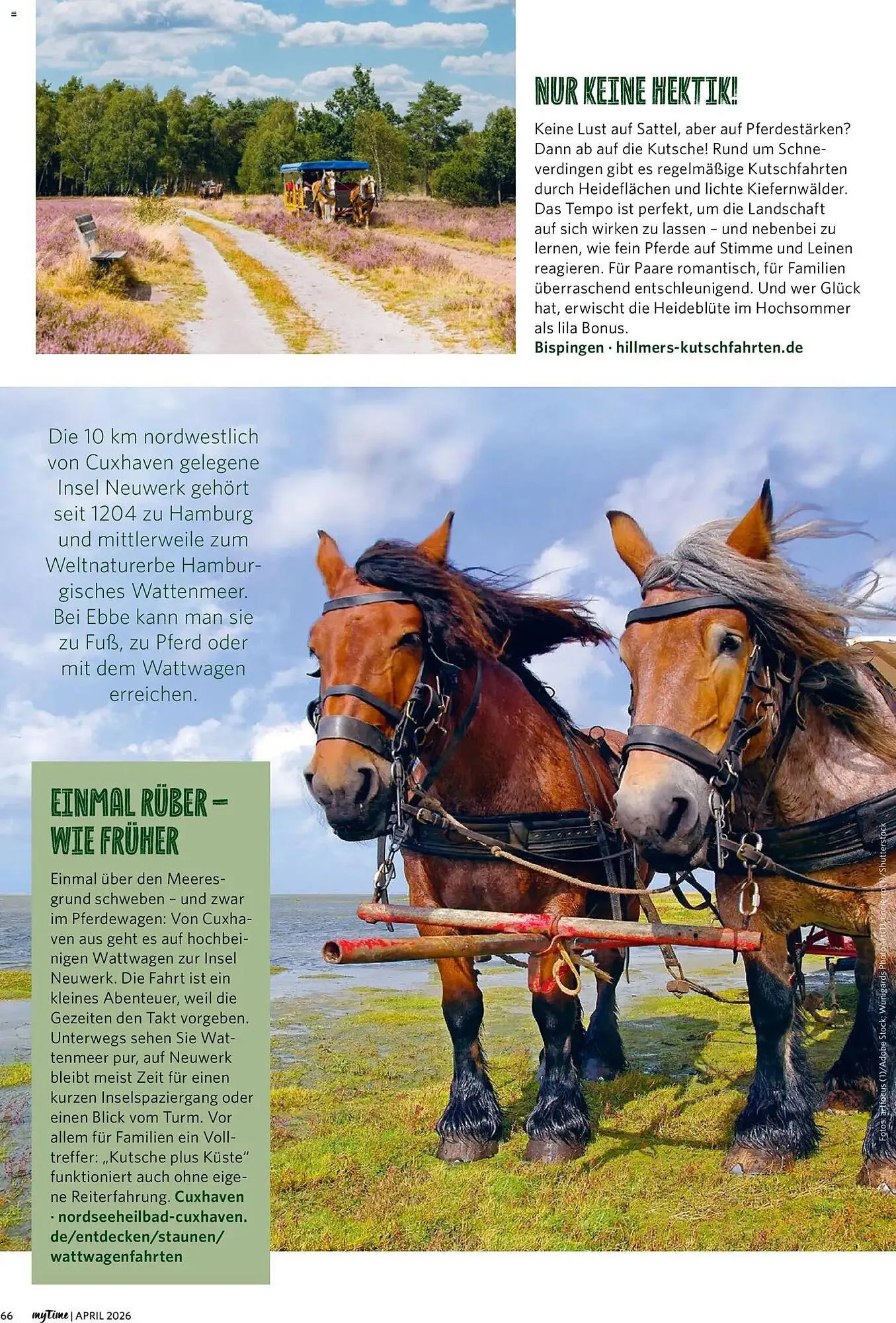 Combi Magazine von 1. April bis 30. April 2026 - Prospekt seite 66