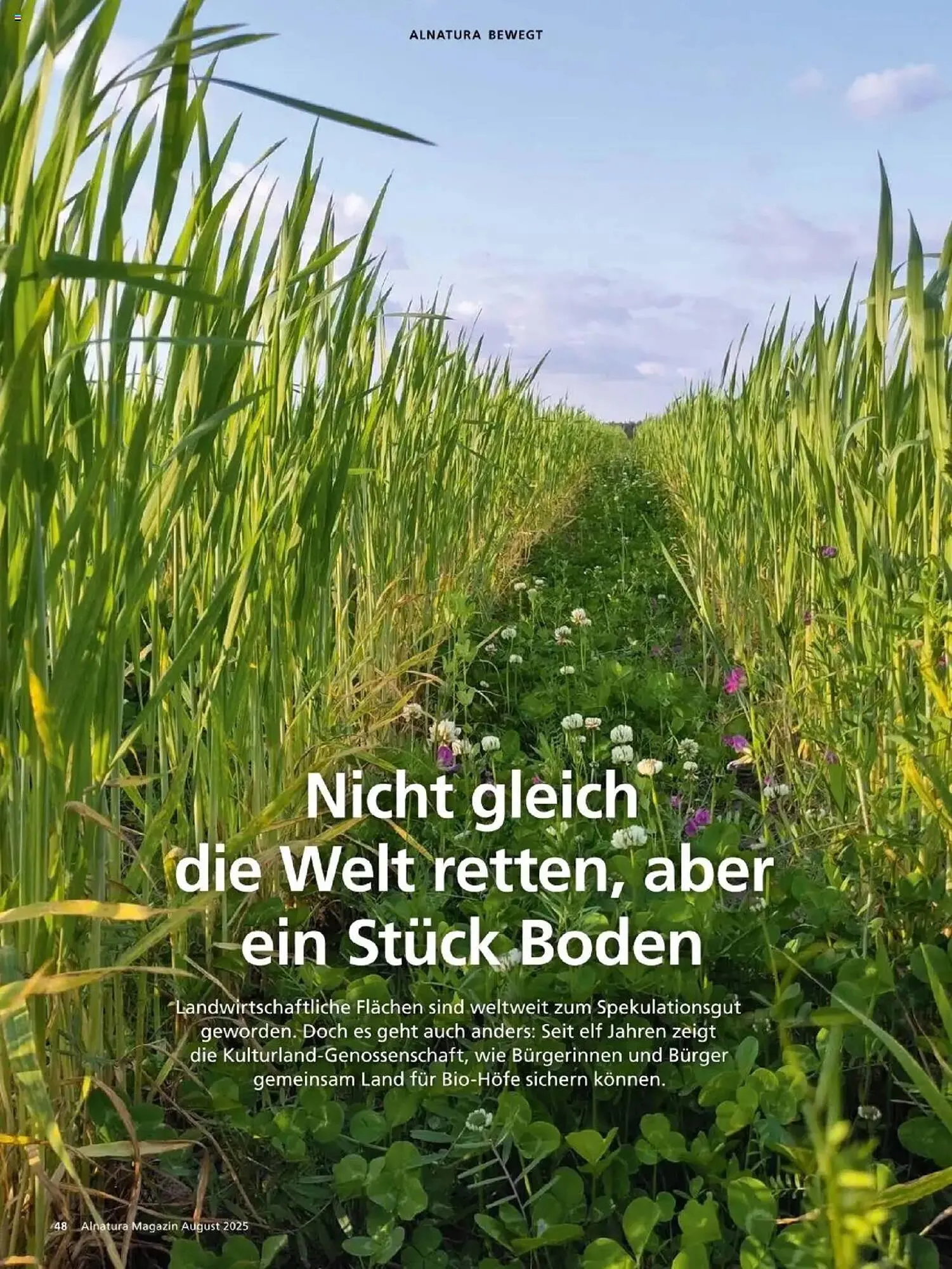 Alnatura Prospekt von 1. August bis 31. August 2025 - Prospekt seite 48