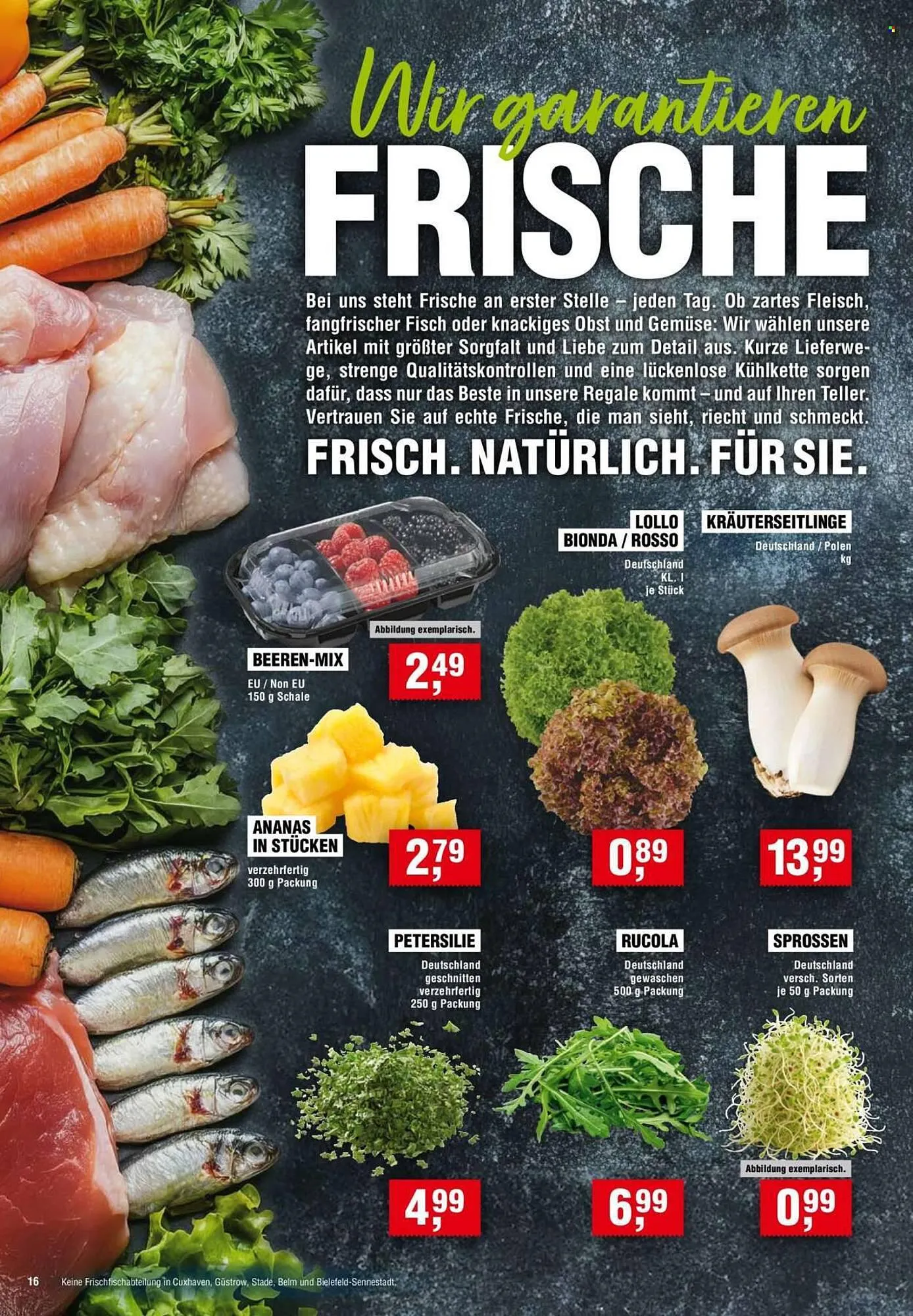 Handelshof Prospekt von 10. Juli bis 16. Juli 2025 - Prospekt seite 16