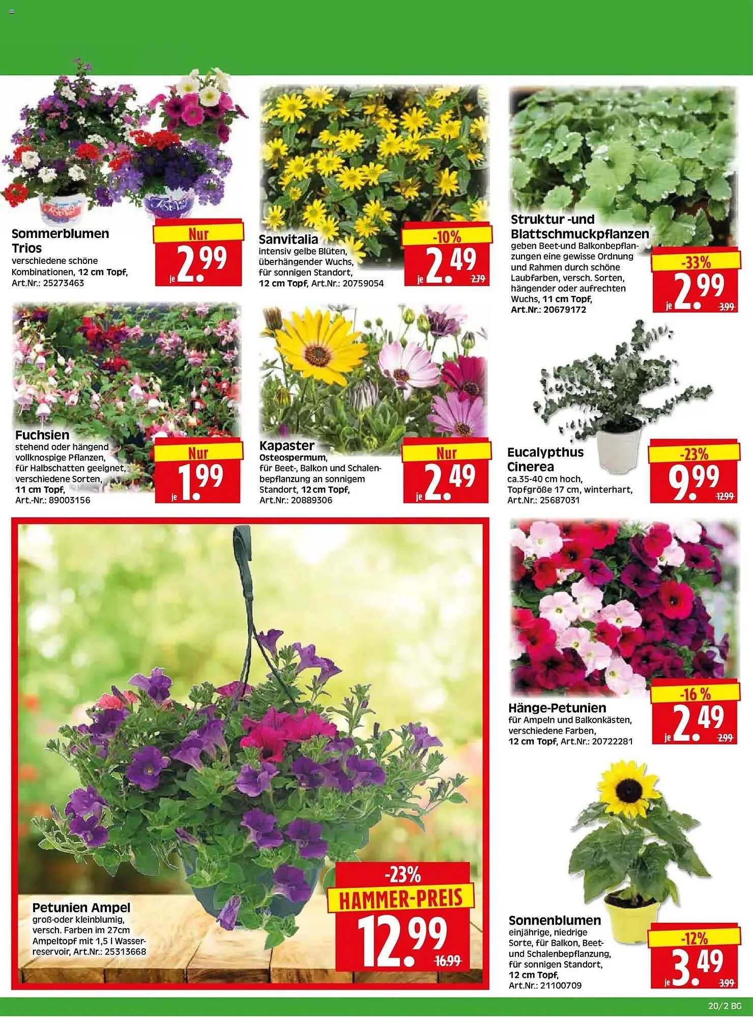Herkules Baumarkt Prospekt von 11. Mai bis 16. Mai 2026 - Prospekt seite 2