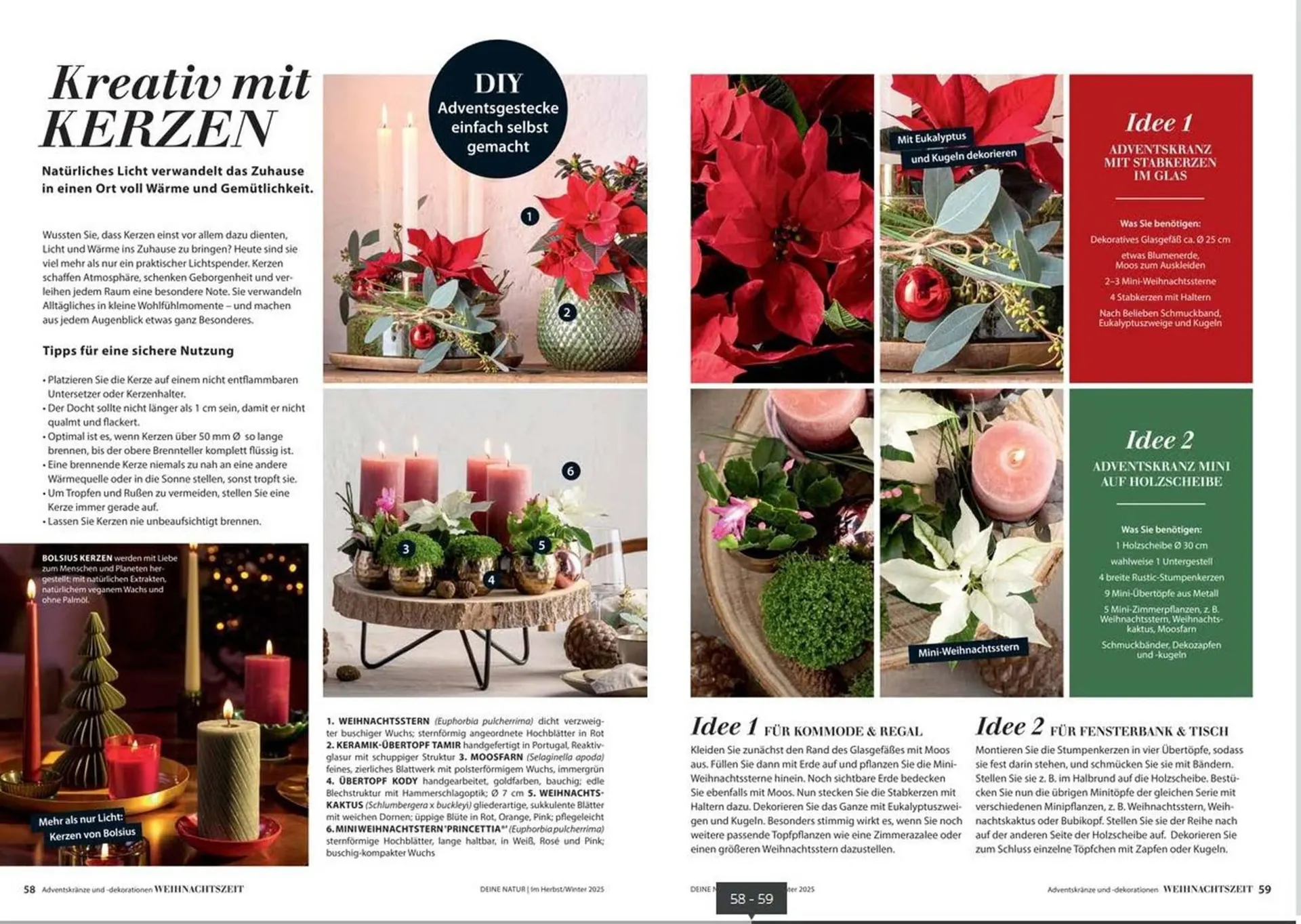 Dehner Prospekt von 24. Oktober bis 31. Dezember 2025 - Prospekt seite 30