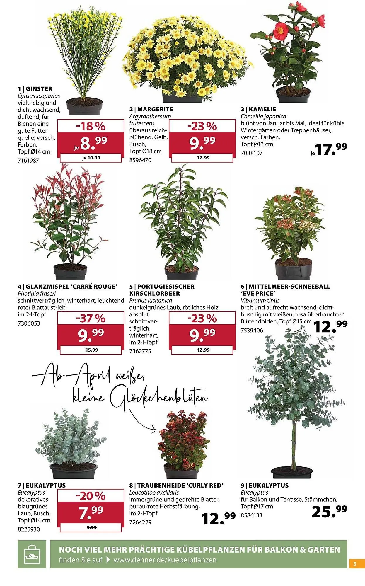 Dehner Prospekt von 11. März bis 16. März 2026 - Prospekt seite 5