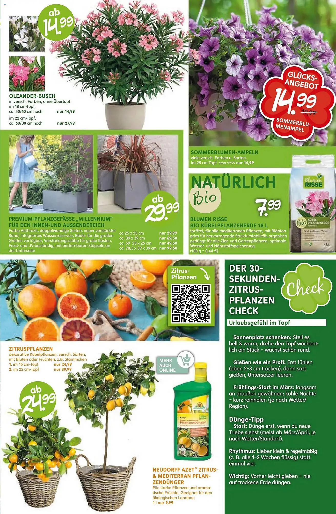 Blumen Risse Prospekt von 16. April bis 26. April 2026 - Prospekt seite 7